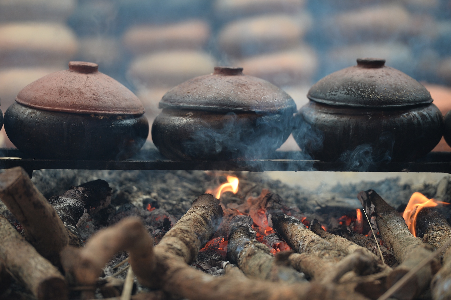 lang ca kho Vu Dai o Ha Nam anh 14