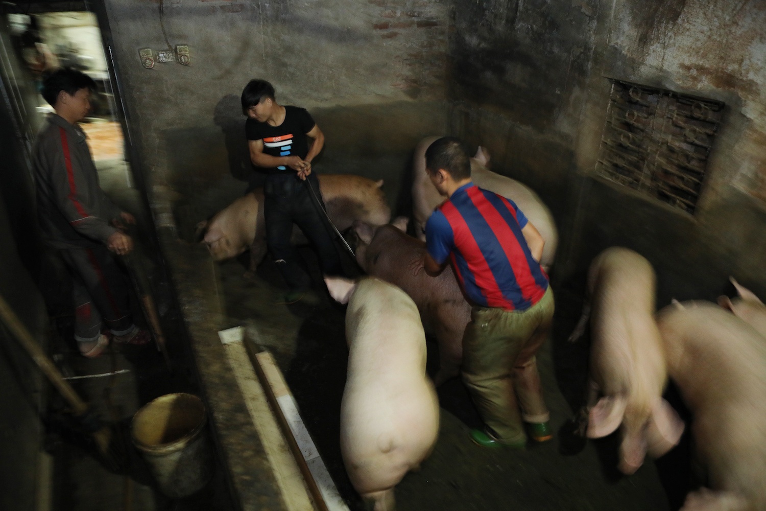 goi banh chung Tet o Ha Noi anh 1