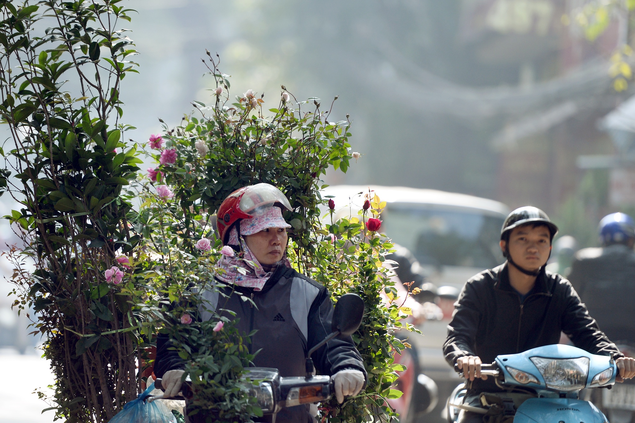 cho hoa cay canh Hoang Hoa Tham giap Tet anh 4