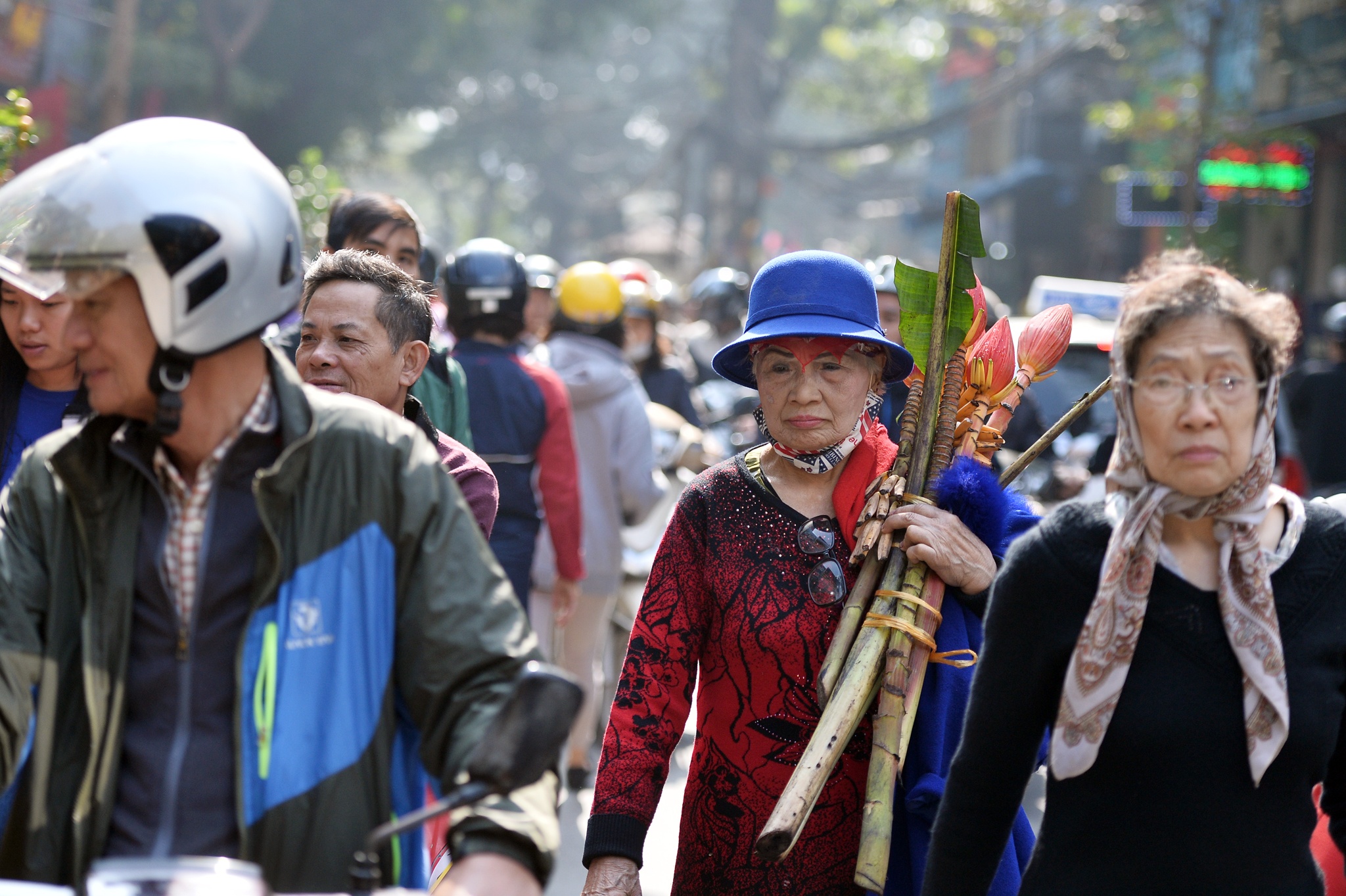 cho hoa cay canh Hoang Hoa Tham giap Tet anh 1