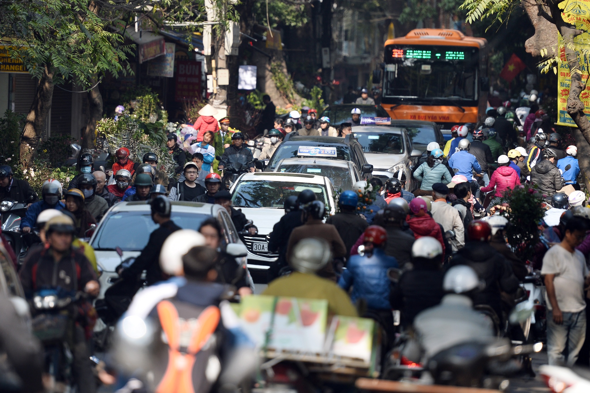 cho hoa cay canh Hoang Hoa Tham giap Tet anh 3