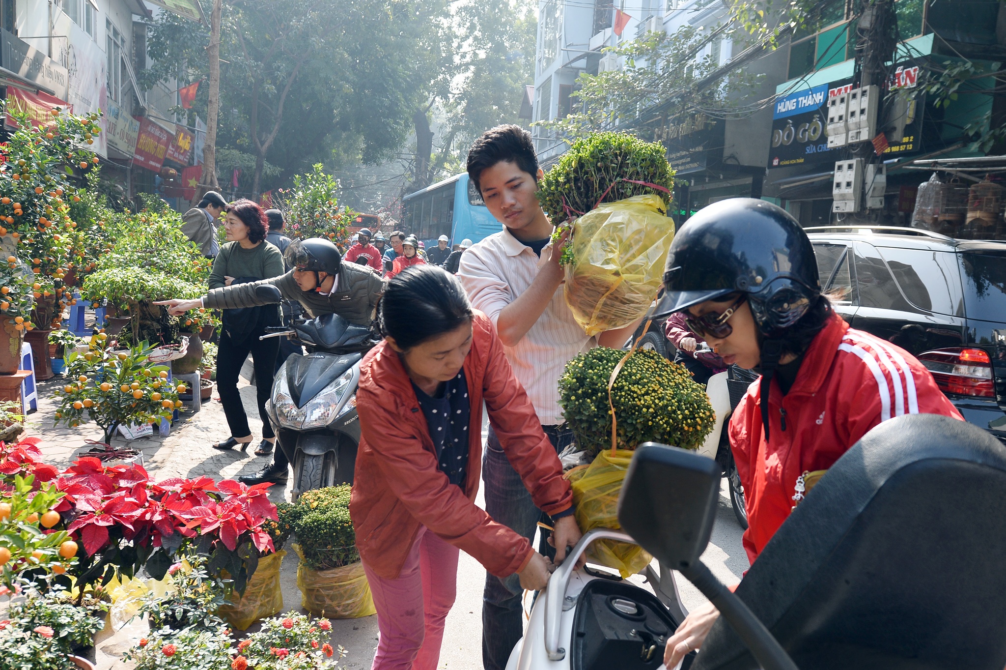 cho hoa cay canh Hoang Hoa Tham giap Tet anh 2