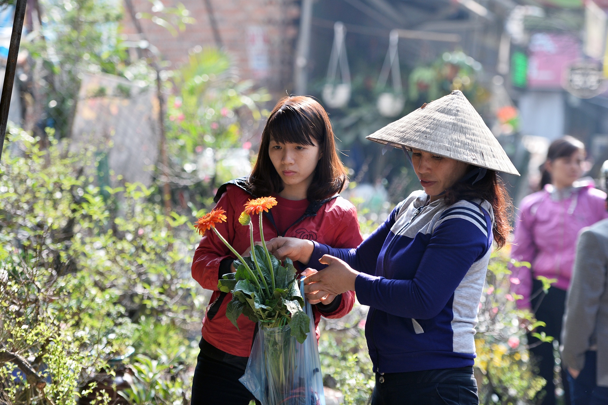 cho hoa cay canh Hoang Hoa Tham giap Tet anh 10