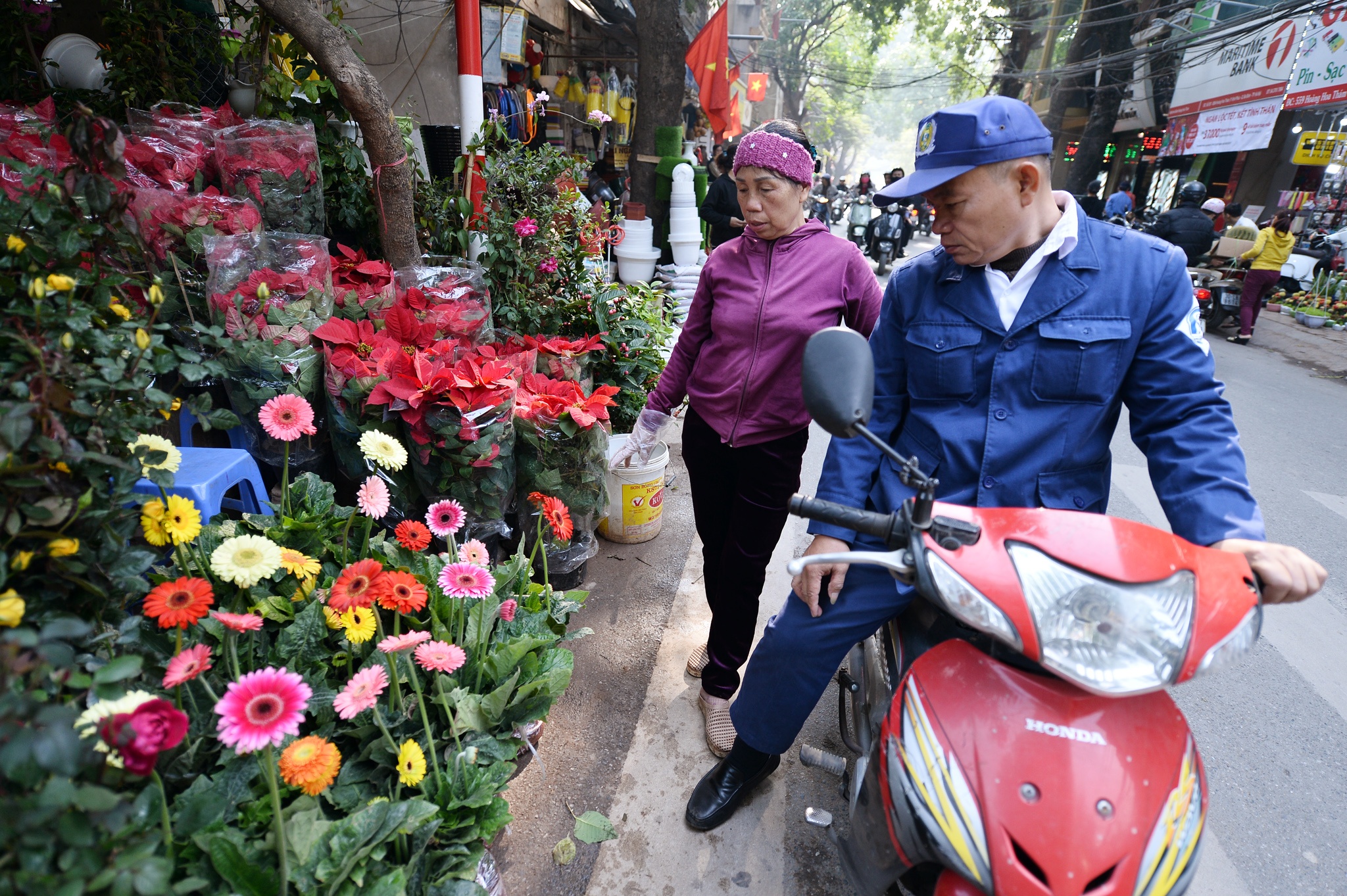 cho hoa cay canh Hoang Hoa Tham giap Tet anh 6