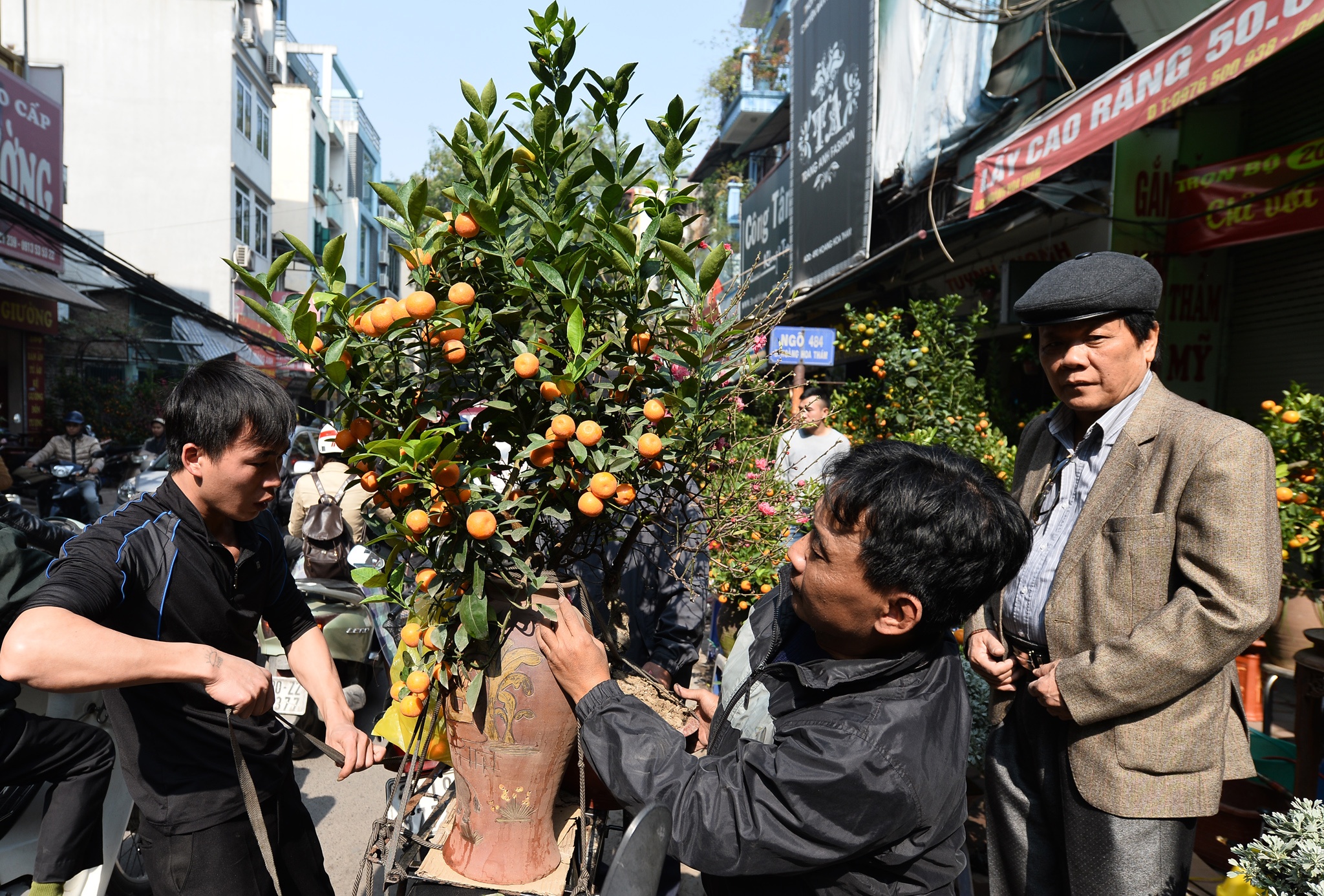 cho hoa cay canh Hoang Hoa Tham giap Tet anh 15