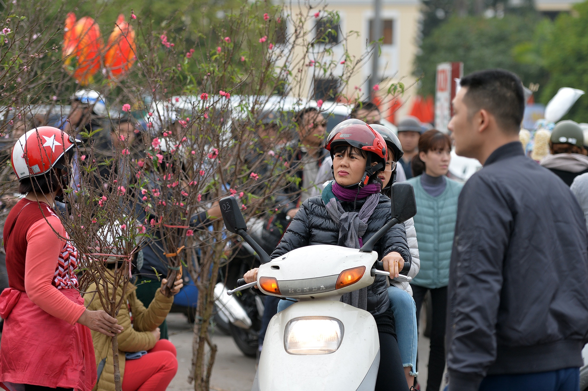 cho hoa dao Lac Long Quan anh 1