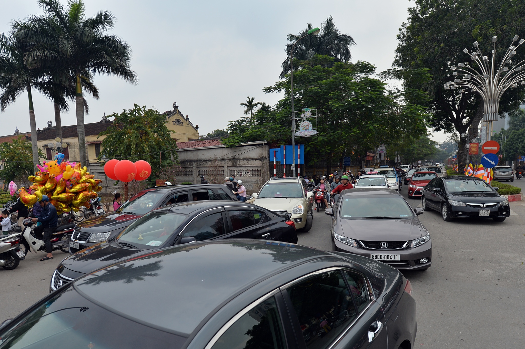 cho hoa dao Lac Long Quan anh 10