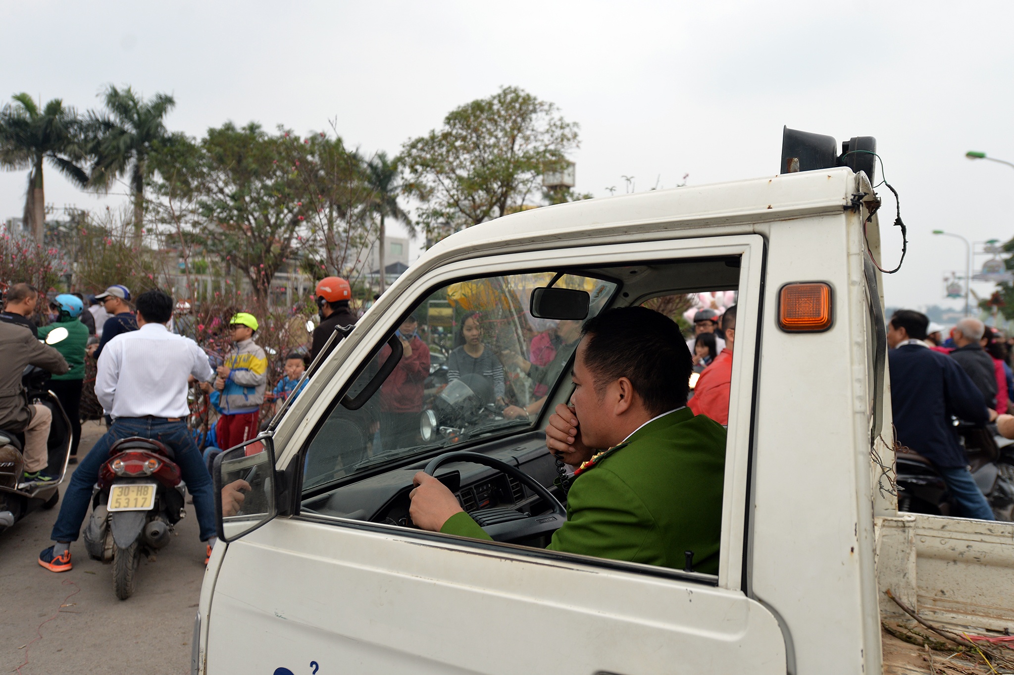 cho hoa dao Lac Long Quan anh 11