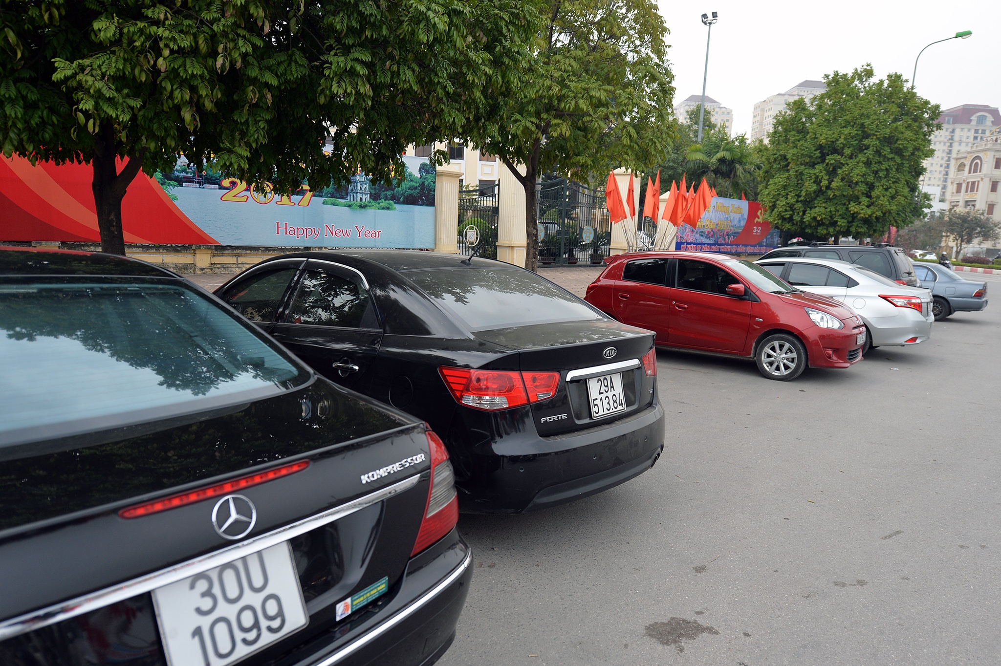 cho hoa dao Lac Long Quan anh 12