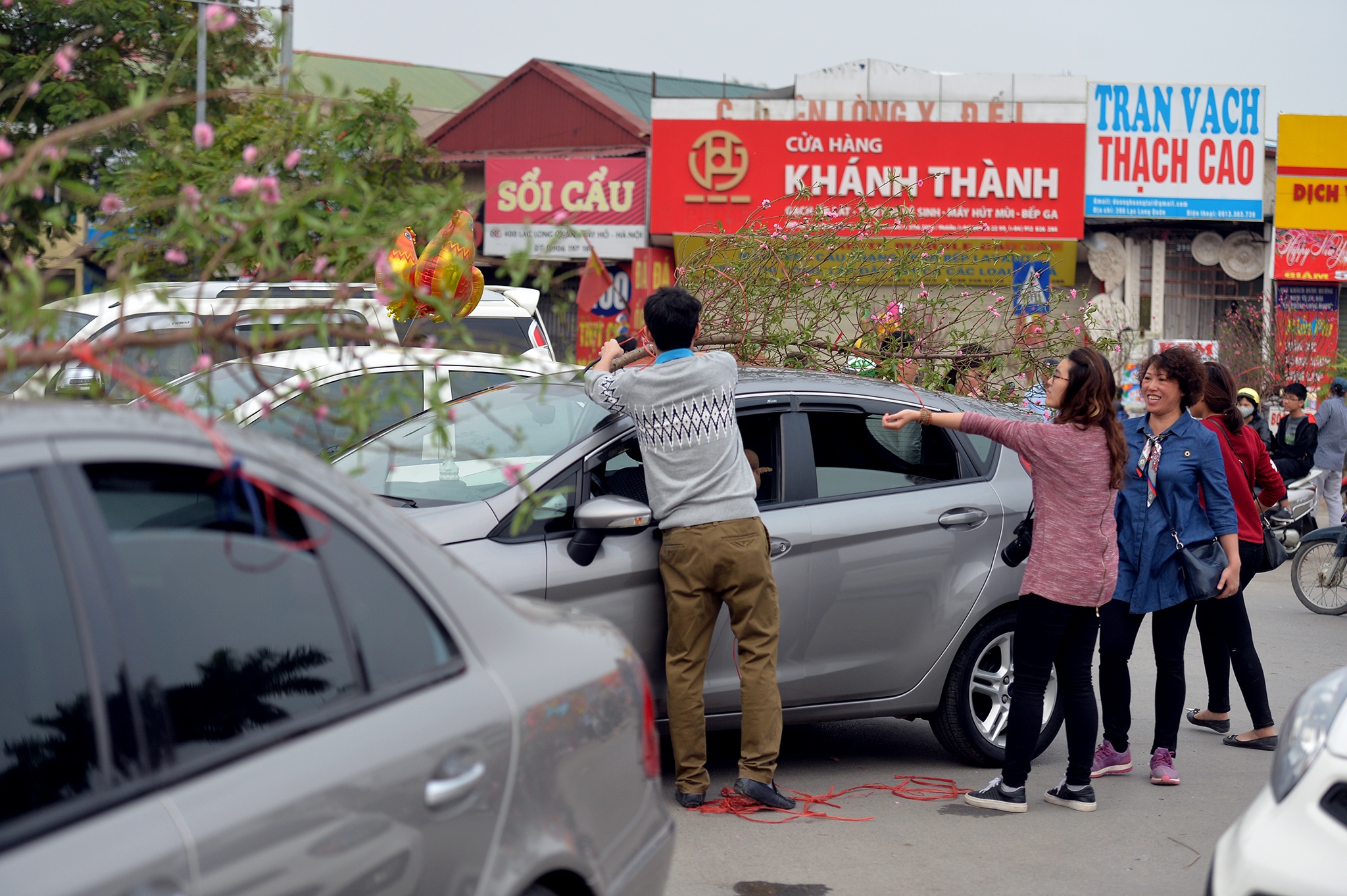 cho hoa dao Lac Long Quan anh 13