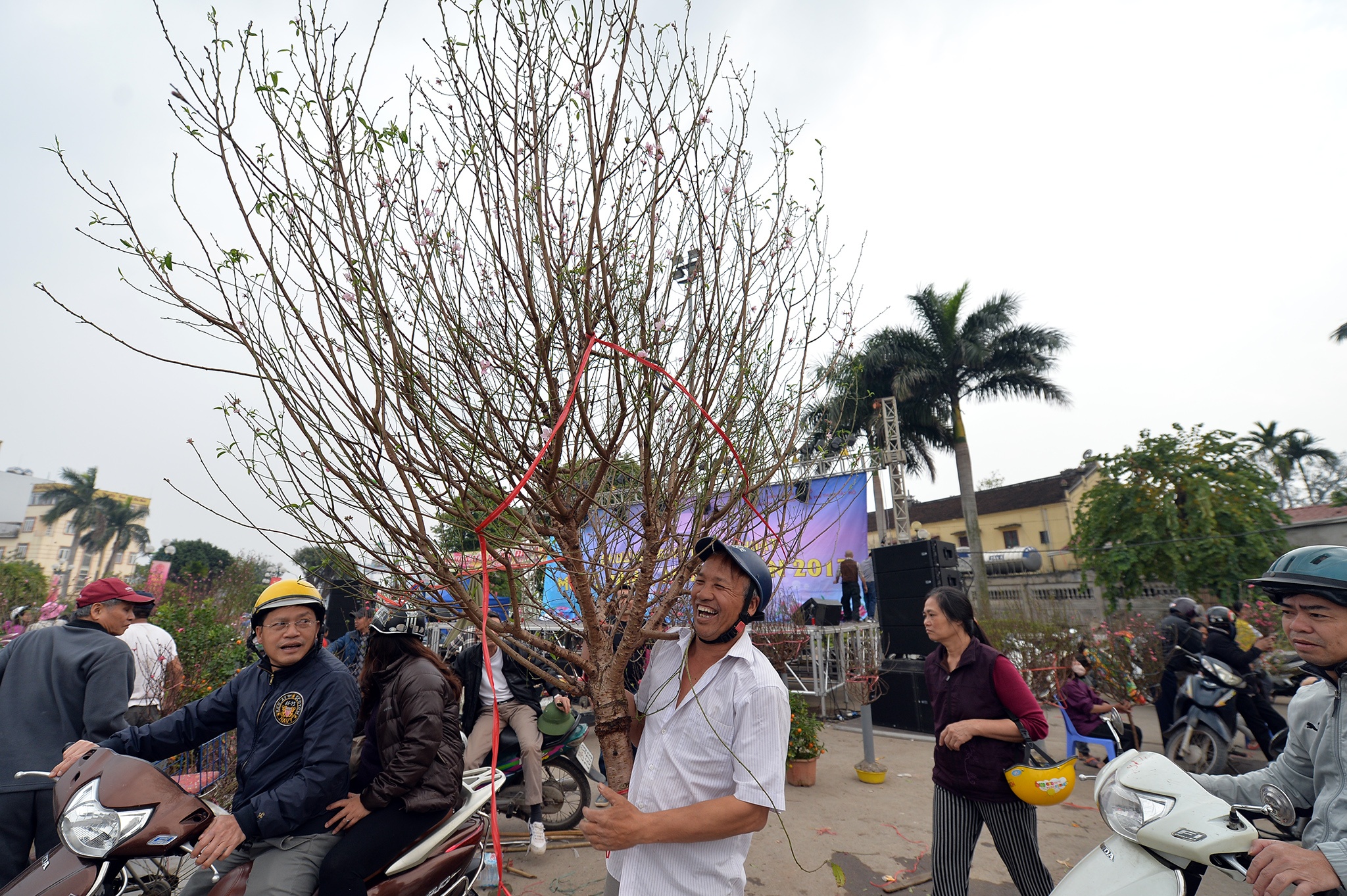 cho hoa dao Lac Long Quan anh 14