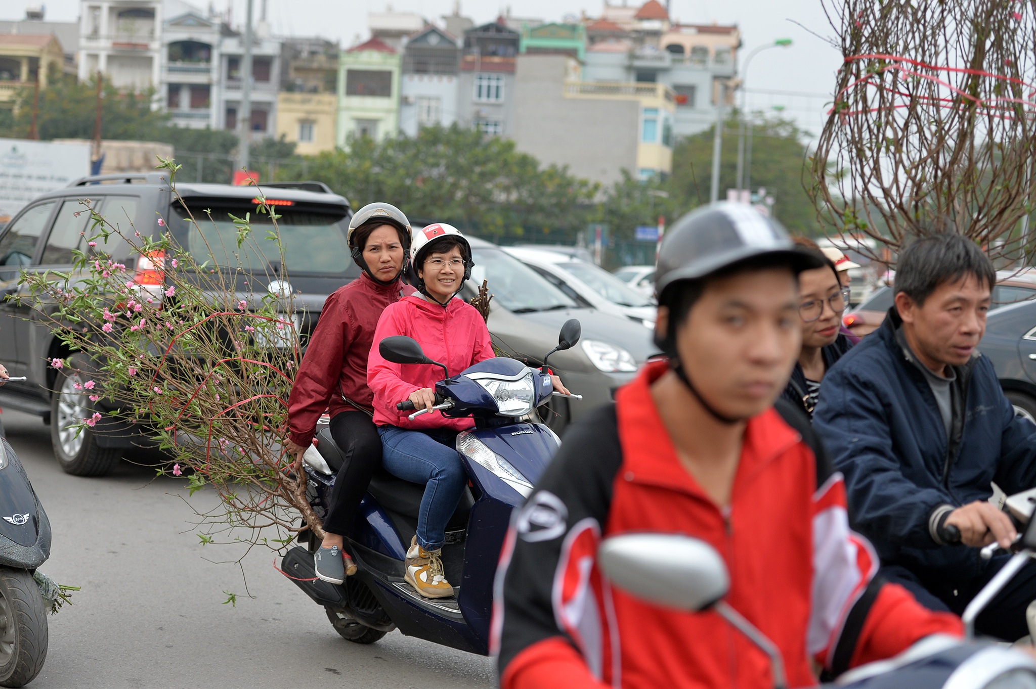cho hoa dao Lac Long Quan anh 15
