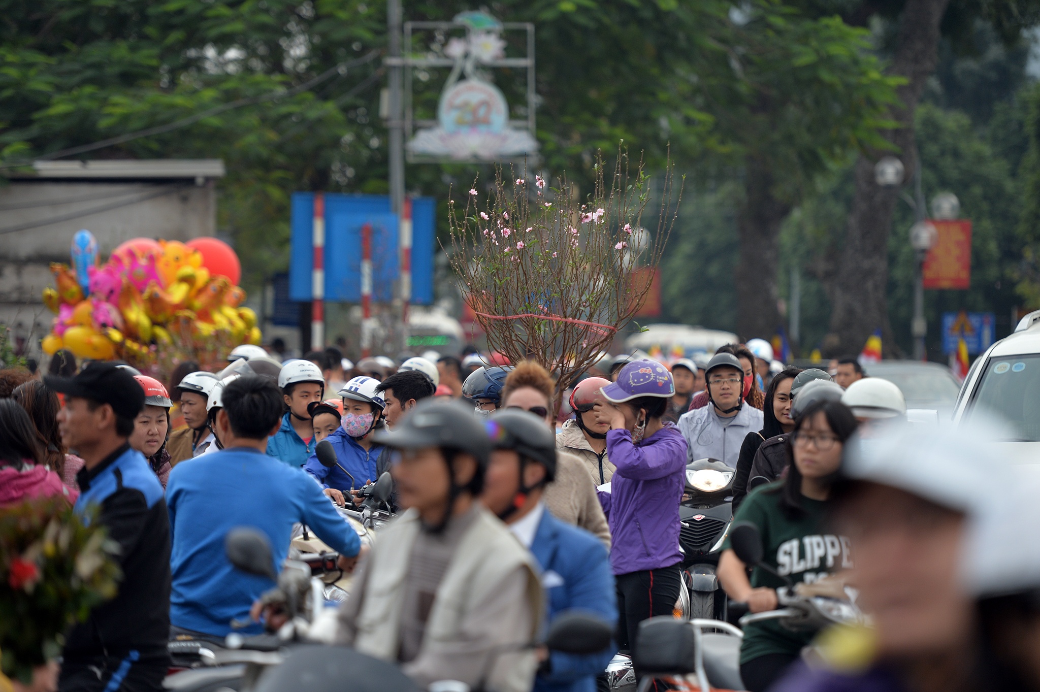 cho hoa dao Lac Long Quan anh 2