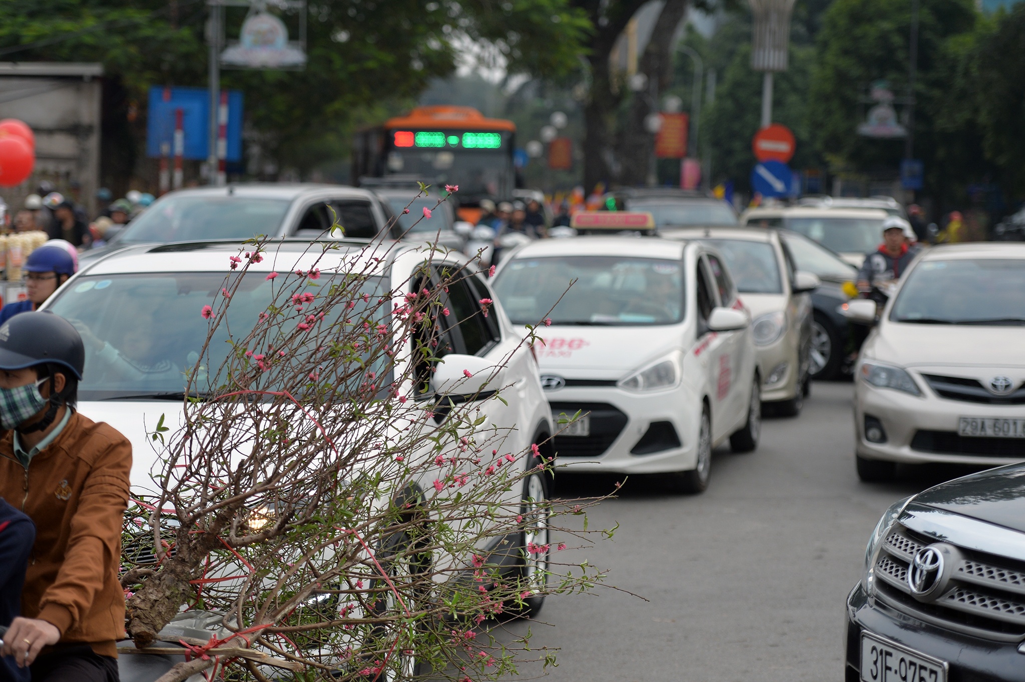 cho hoa dao Lac Long Quan anh 3