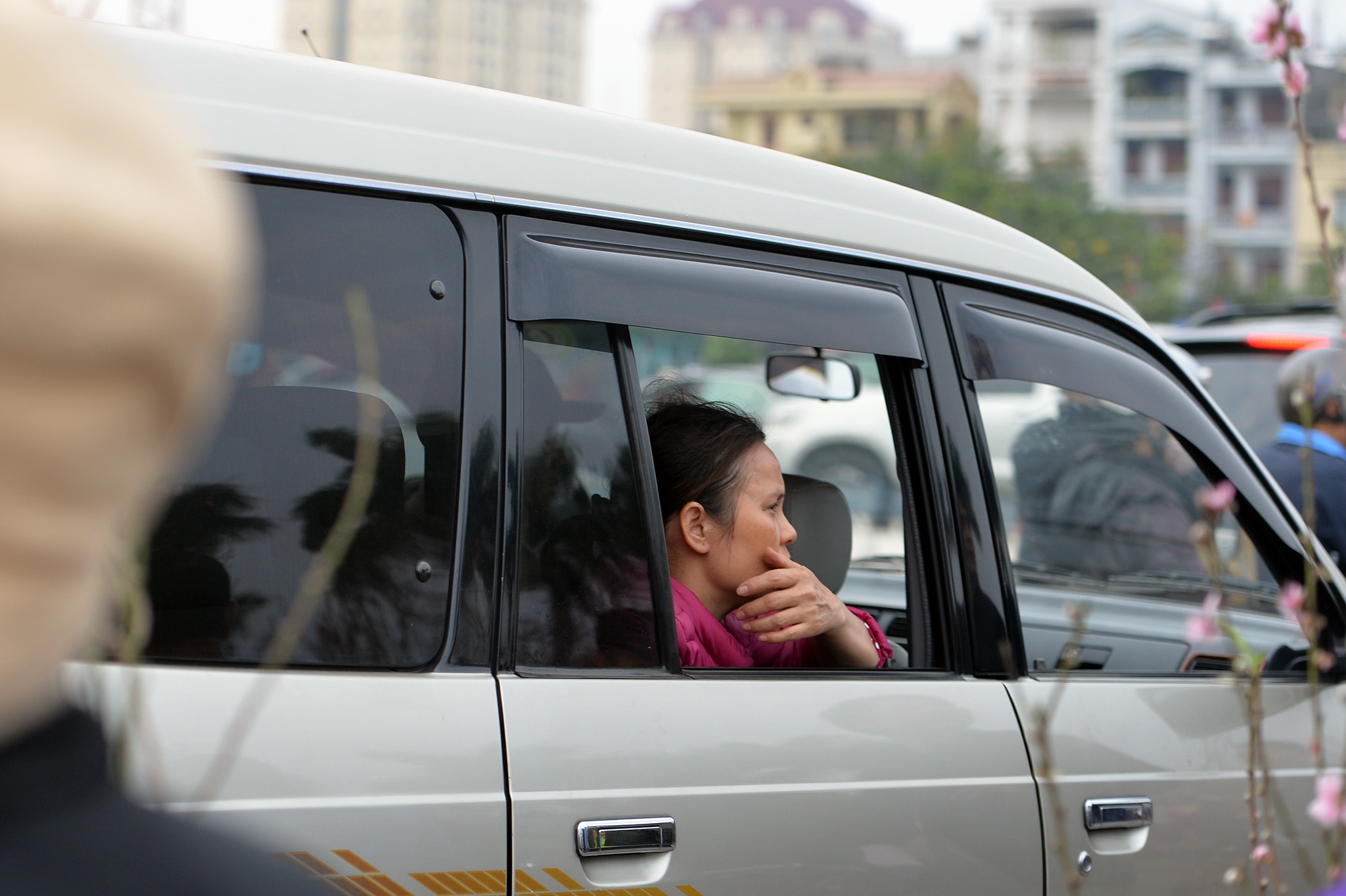 cho hoa dao Lac Long Quan anh 4