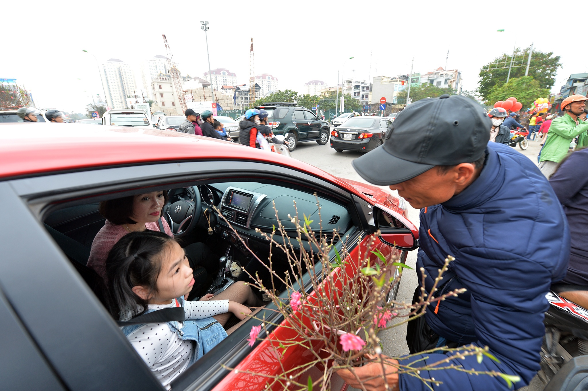 cho hoa dao Lac Long Quan anh 6