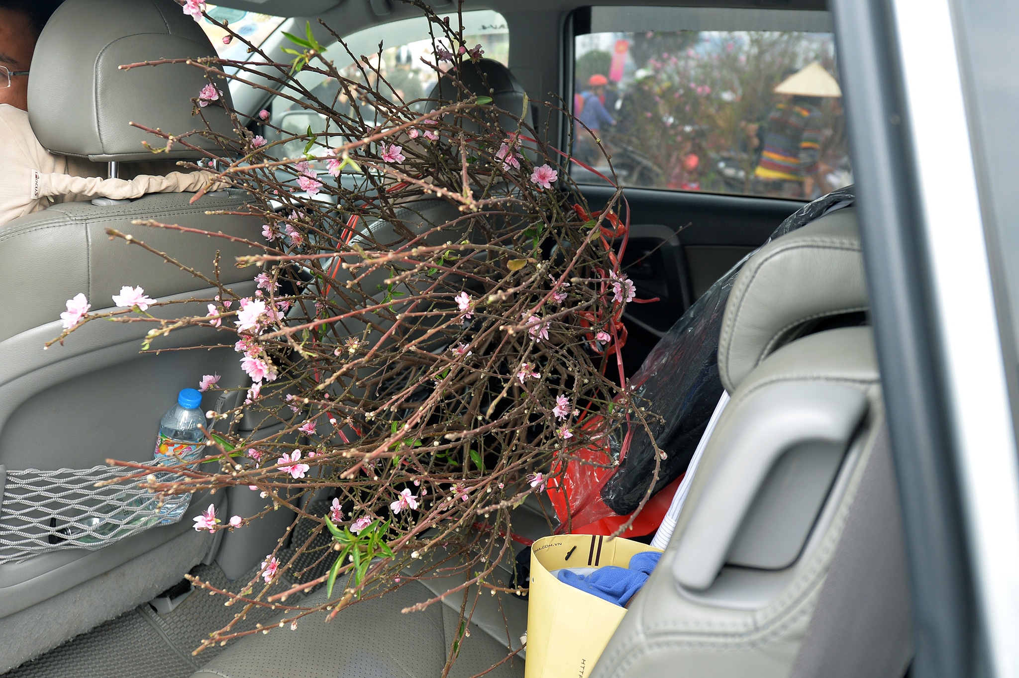 cho hoa dao Lac Long Quan anh 8