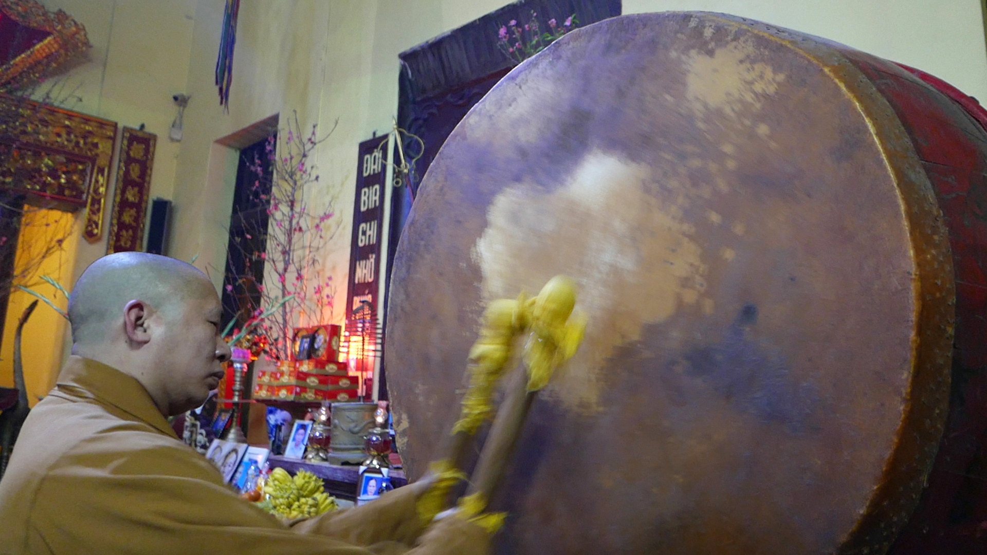 mung nam moi Dinh Dau anh 2