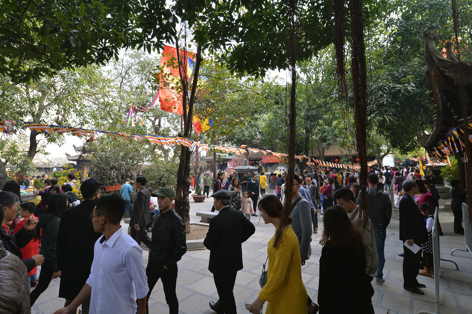 tap nap di le chua Ha anh 1