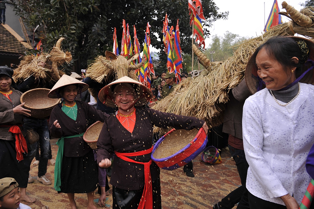 le hoi trau bo rom ra anh 12