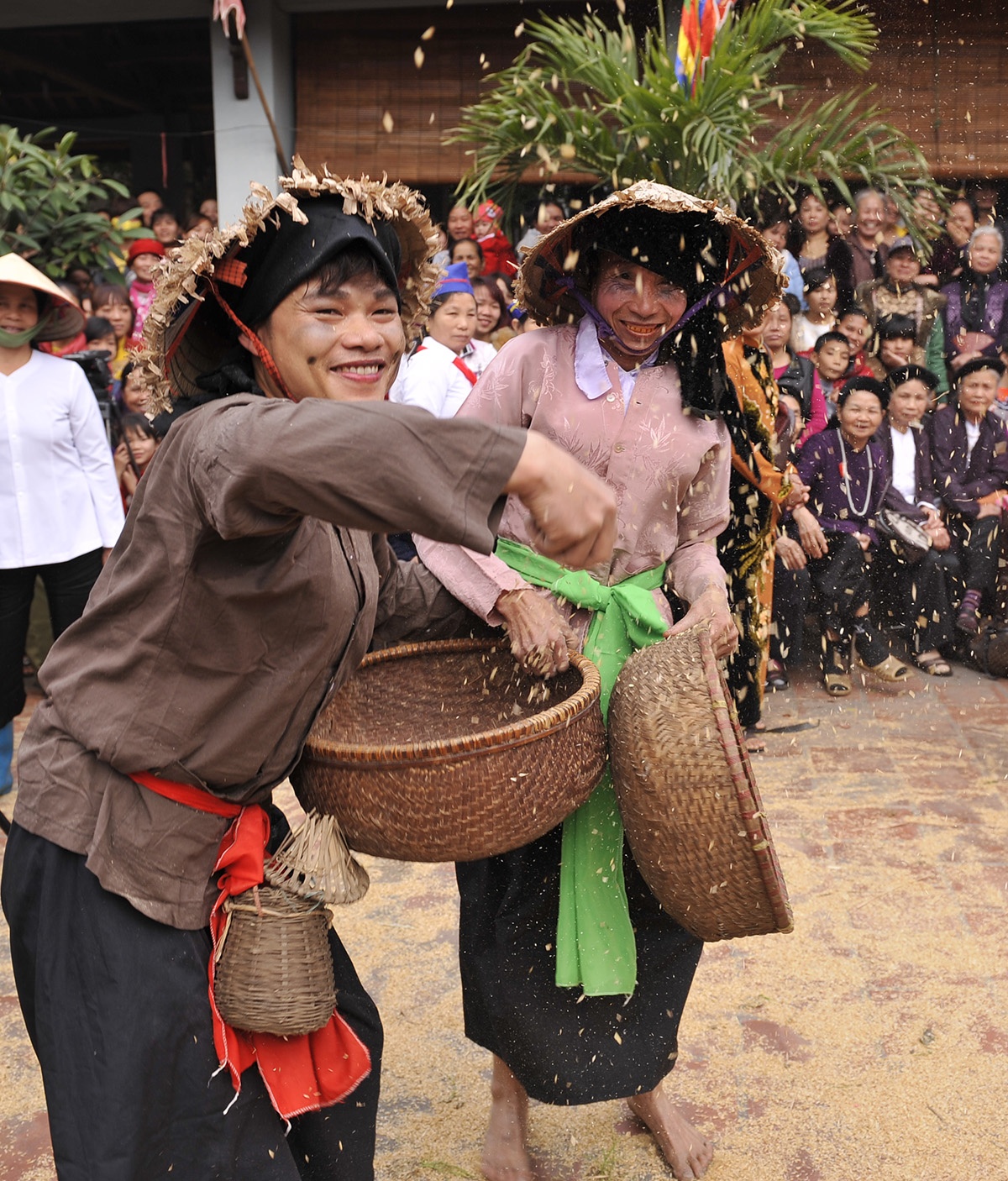 le hoi trau bo rom ra anh 8