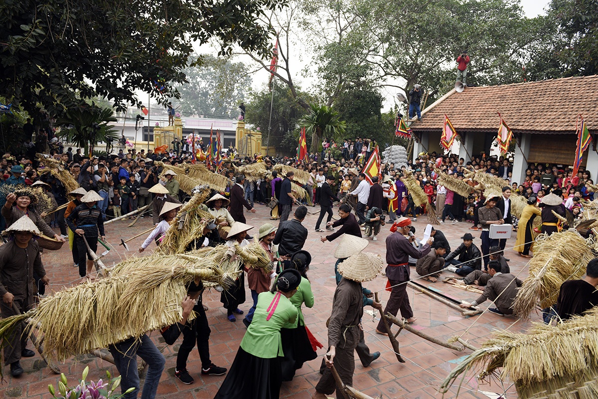 le hoi trau bo rom ra anh 7