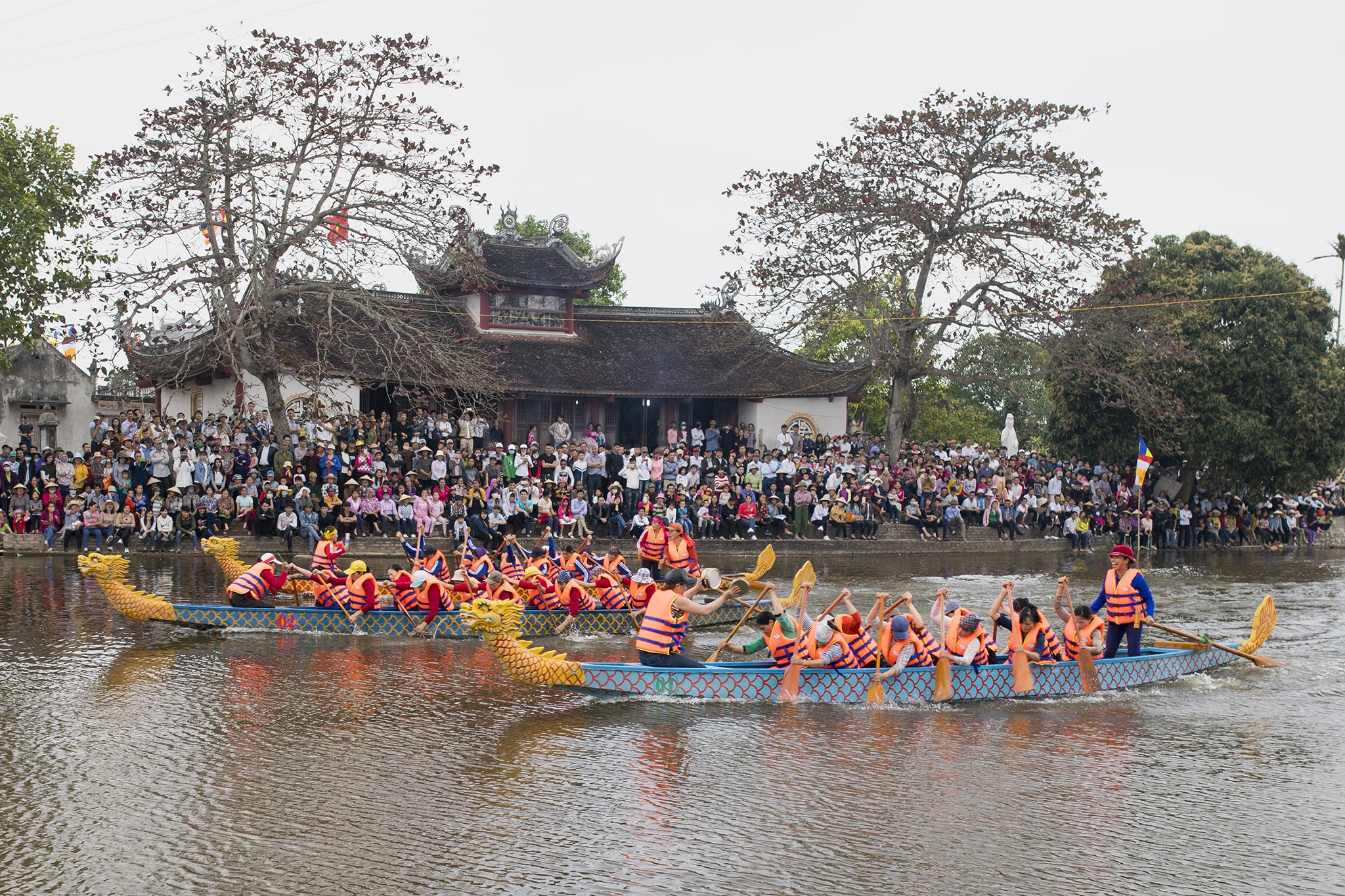 hoi thi bat vit o Thanh Ha Hai Duong anh 1