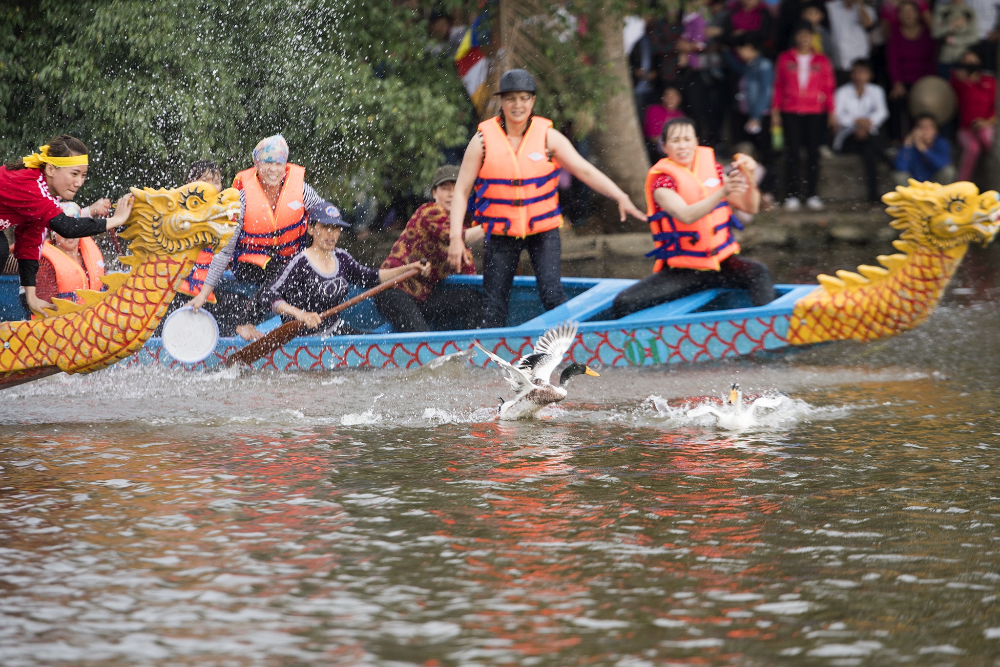 hoi thi bat vit o Thanh Ha Hai Duong anh 9