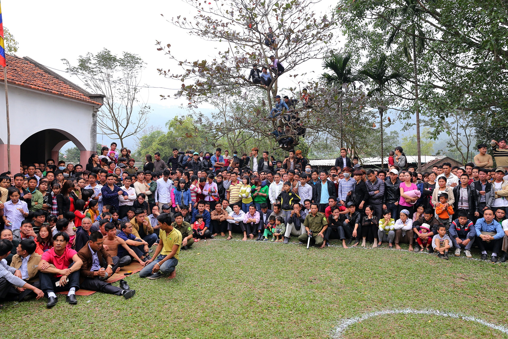 hoi vat lang Ha anh 1