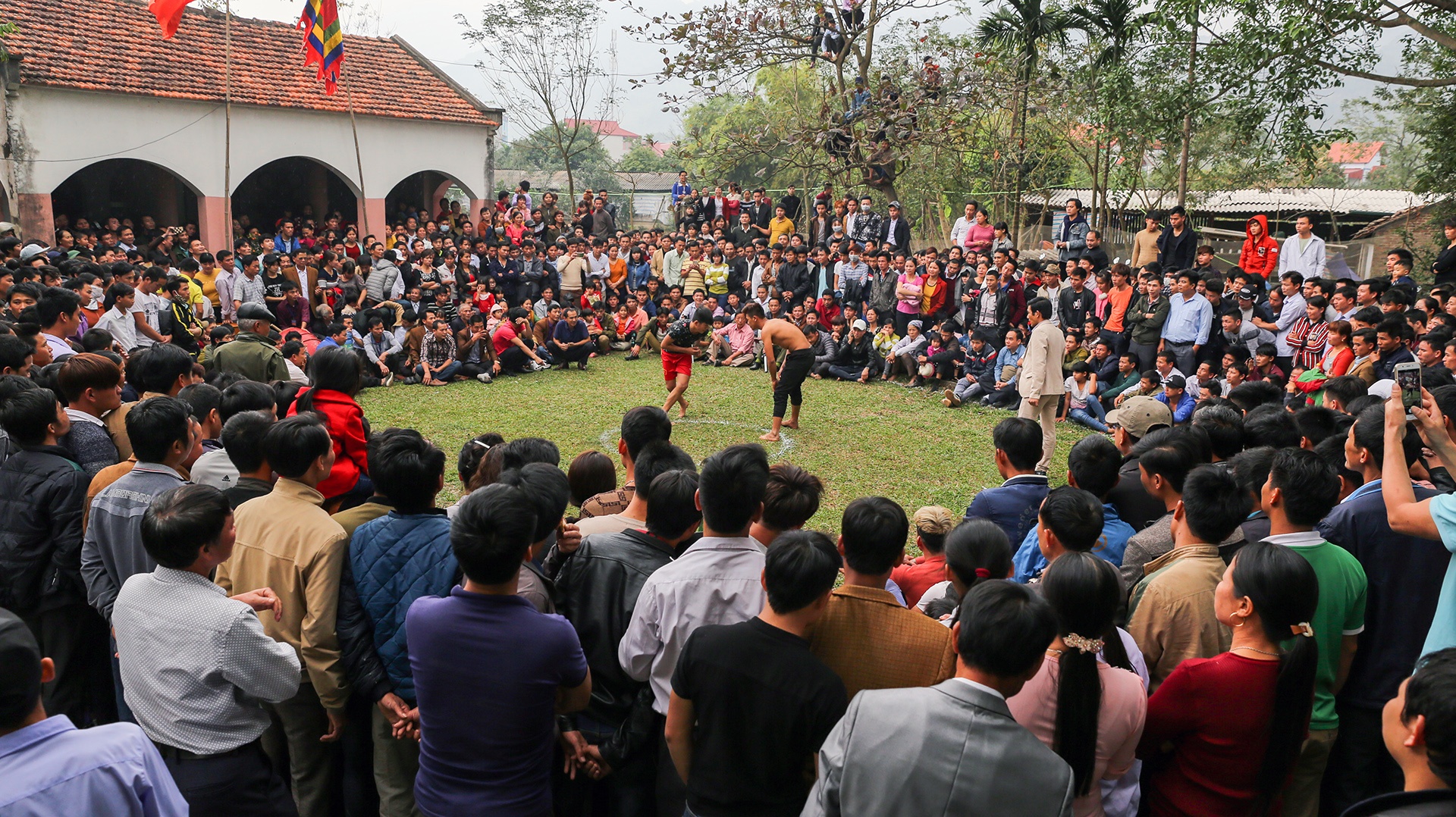 hoi vat lang Ha anh 8