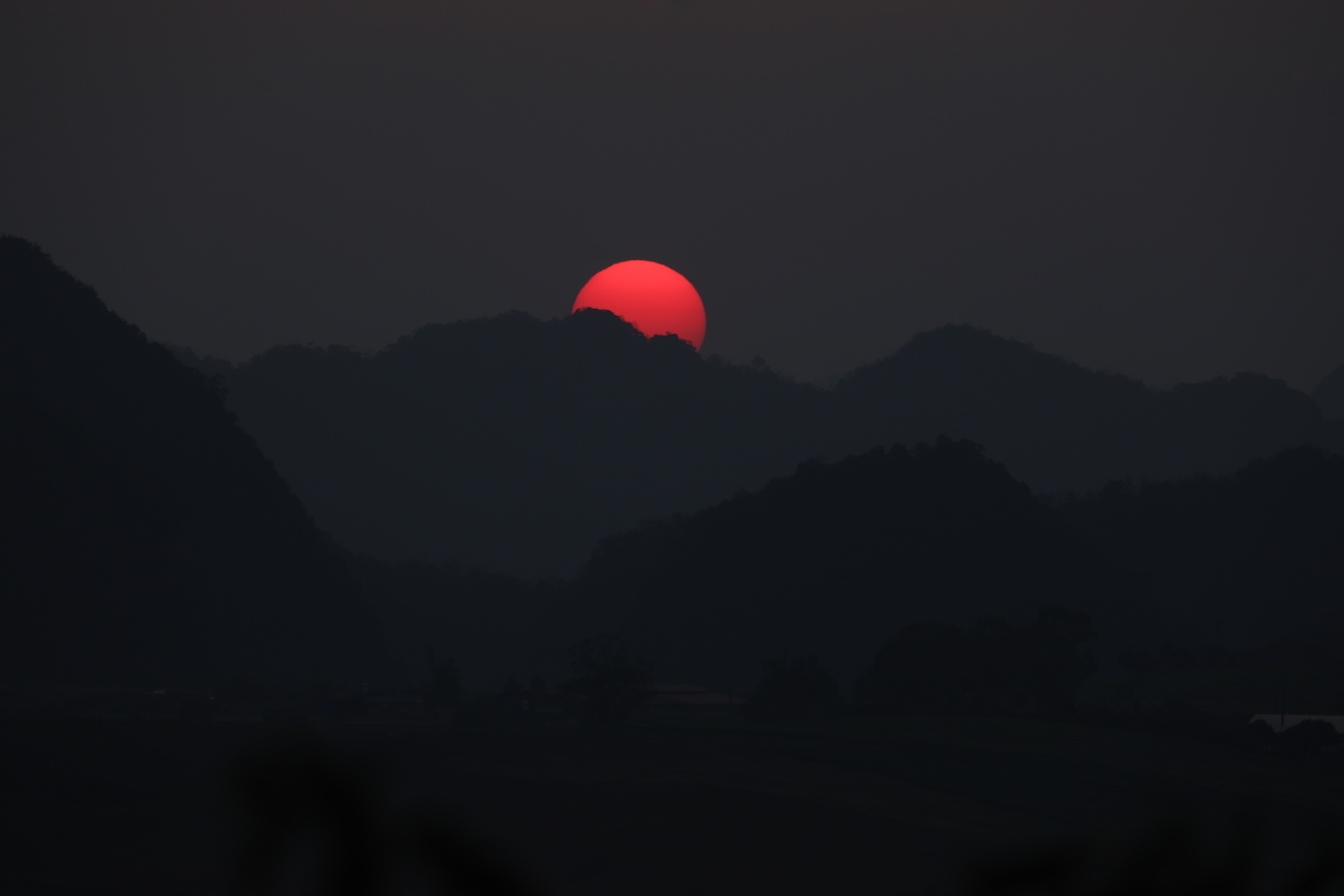 canh sac hoa man dao Moc Chau anh 2