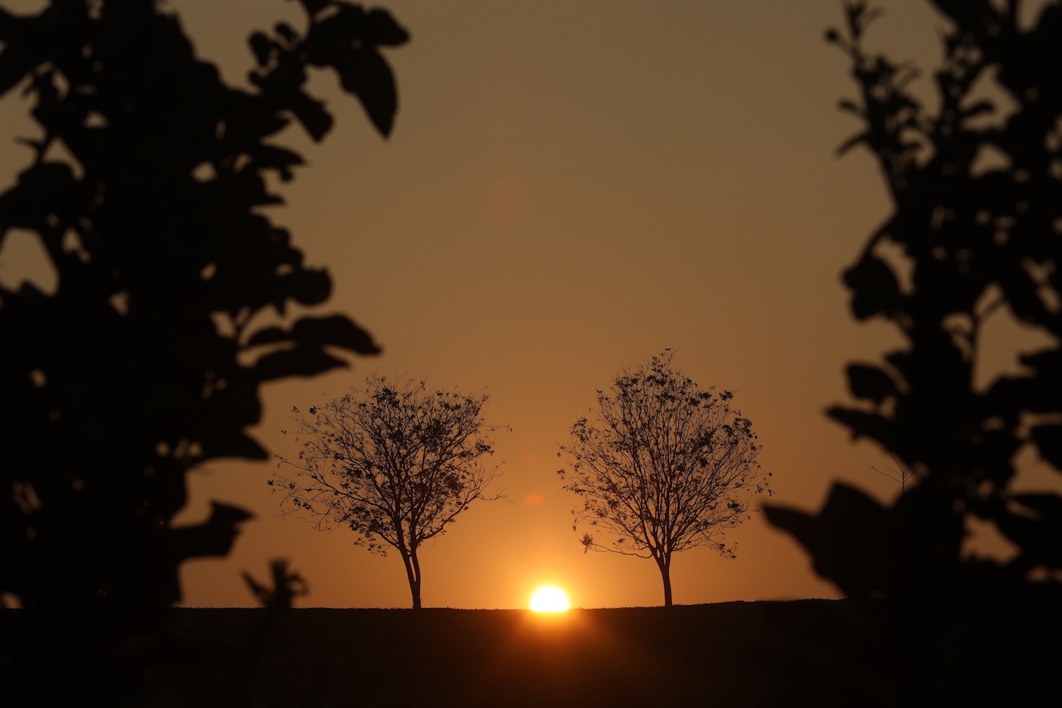 Moc Chau dep nhu tranh nhung ngay dau xuan hinh anh