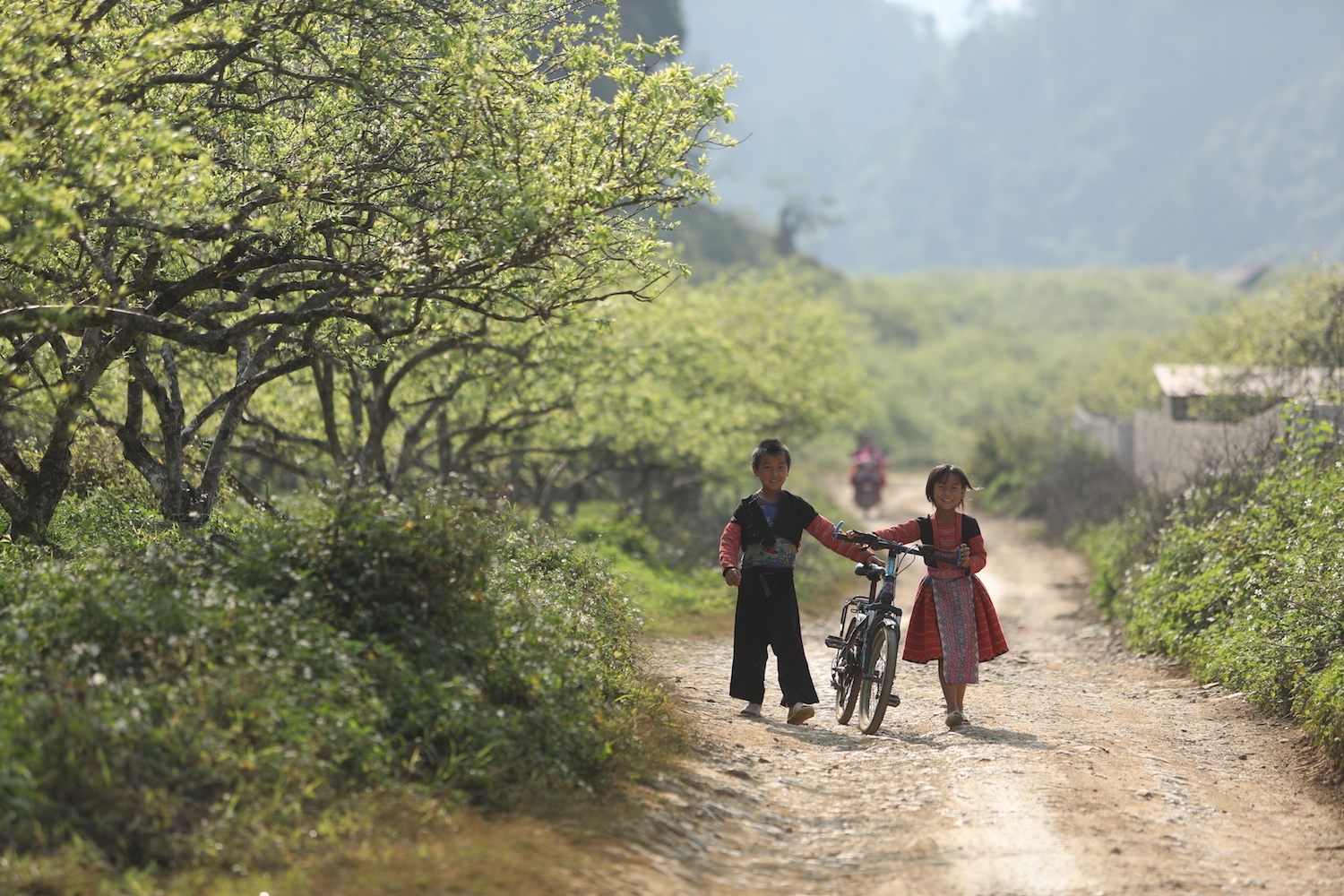 canh sac hoa man dao Moc Chau anh 16