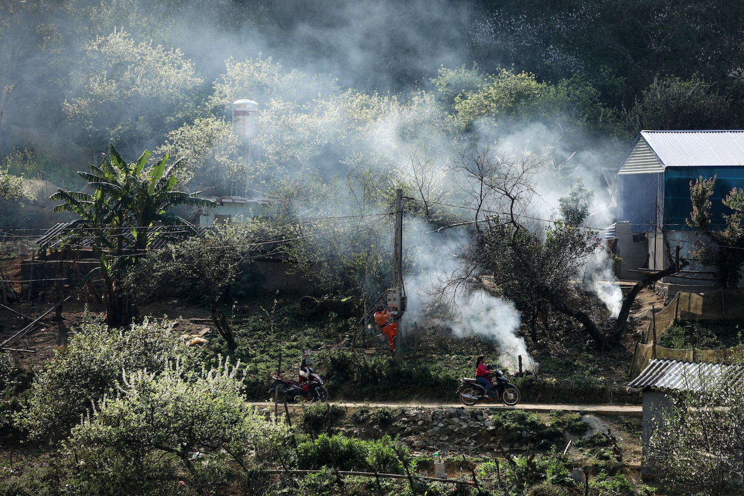canh sac hoa man dao Moc Chau anh 13