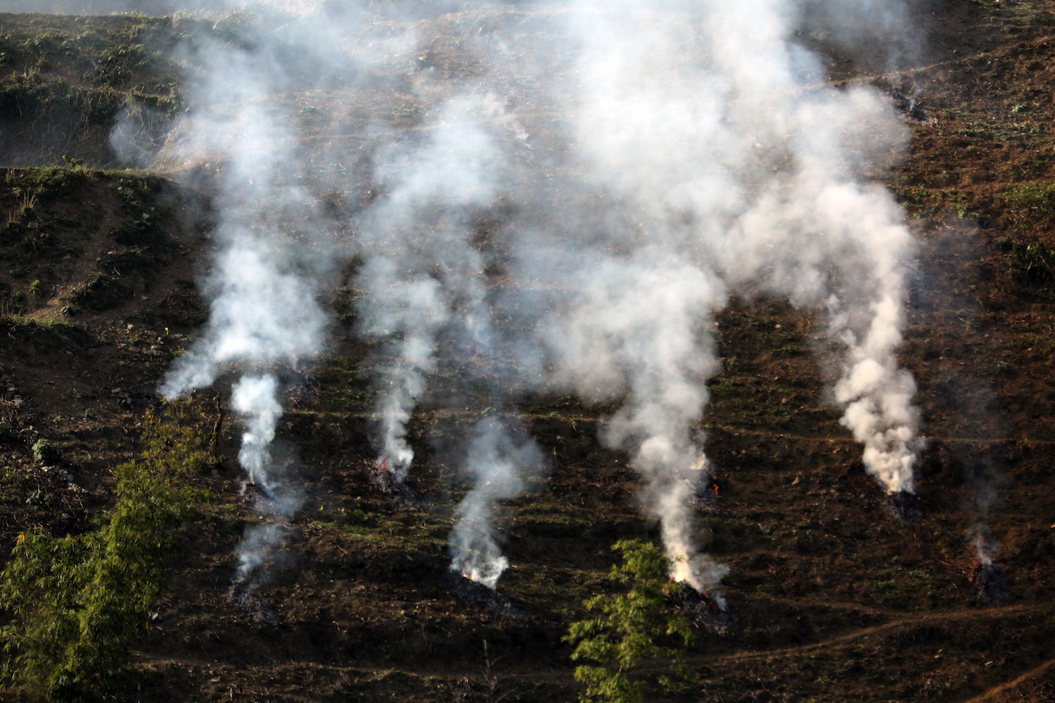 canh sac hoa man dao Moc Chau anh 14