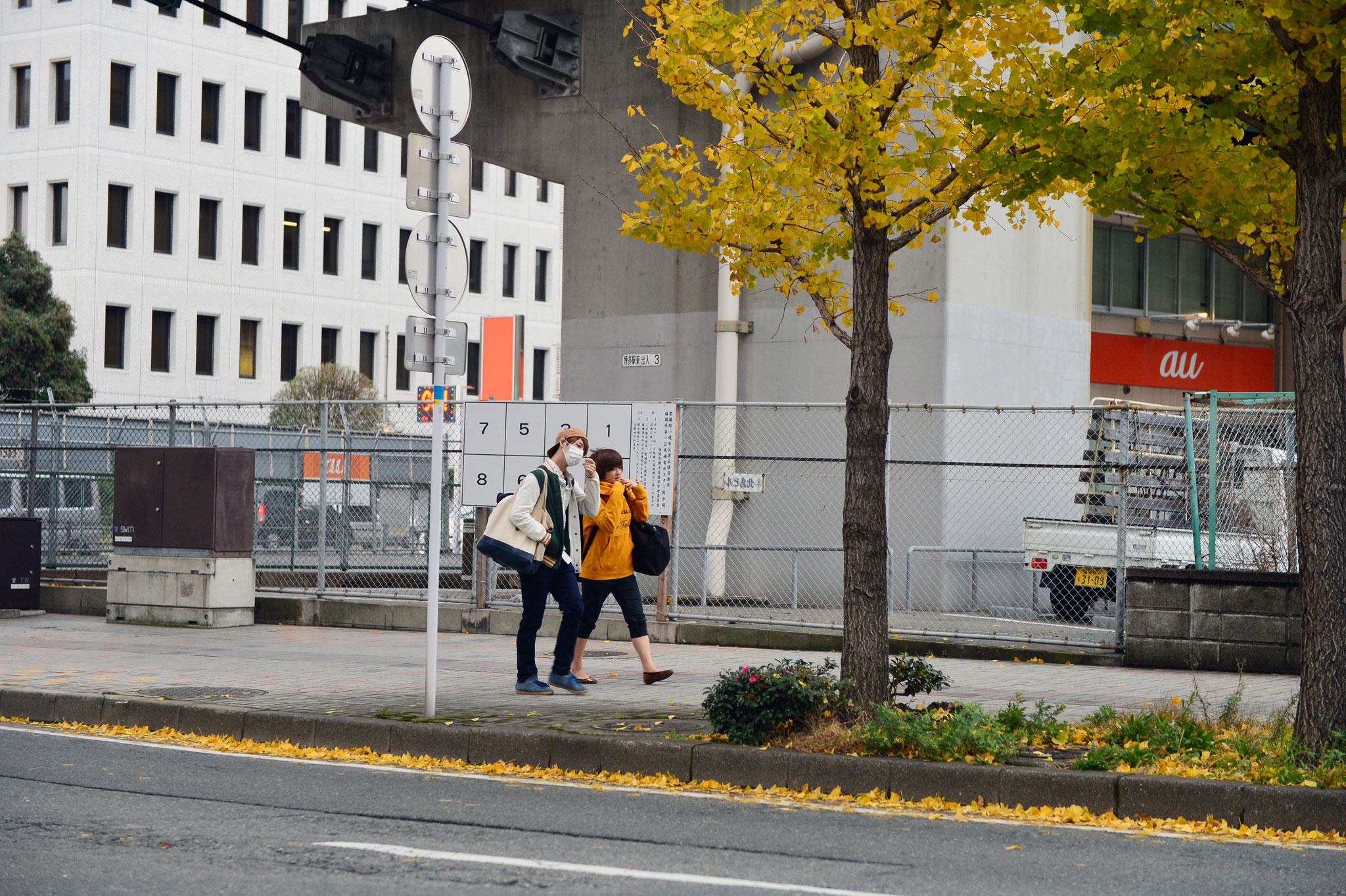 via he cac nuoc tren the gioi anh 7