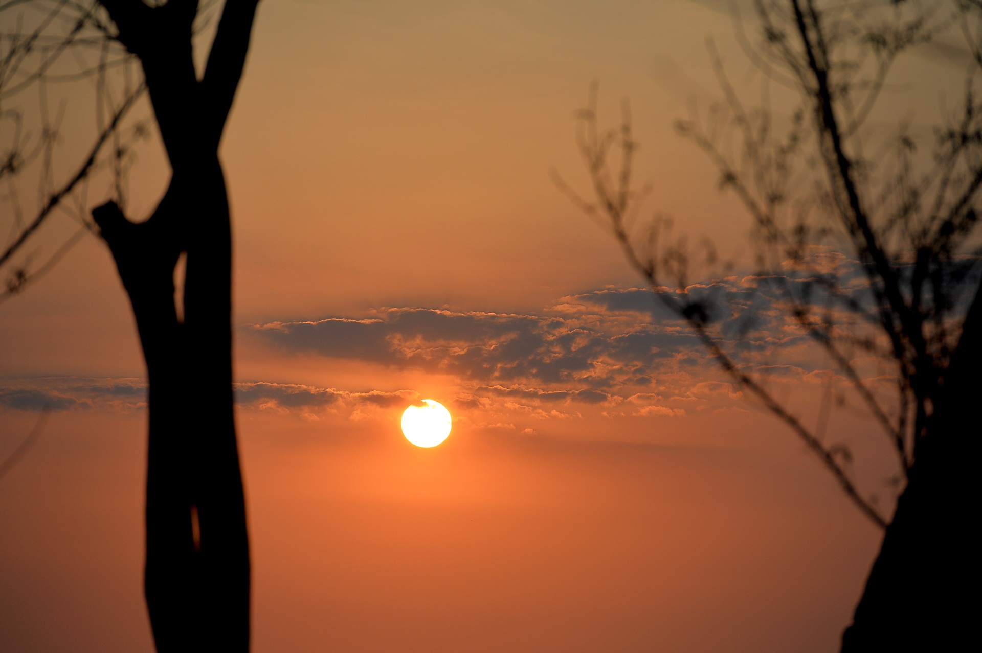 khoa tinh yeu o Ha Long anh 14