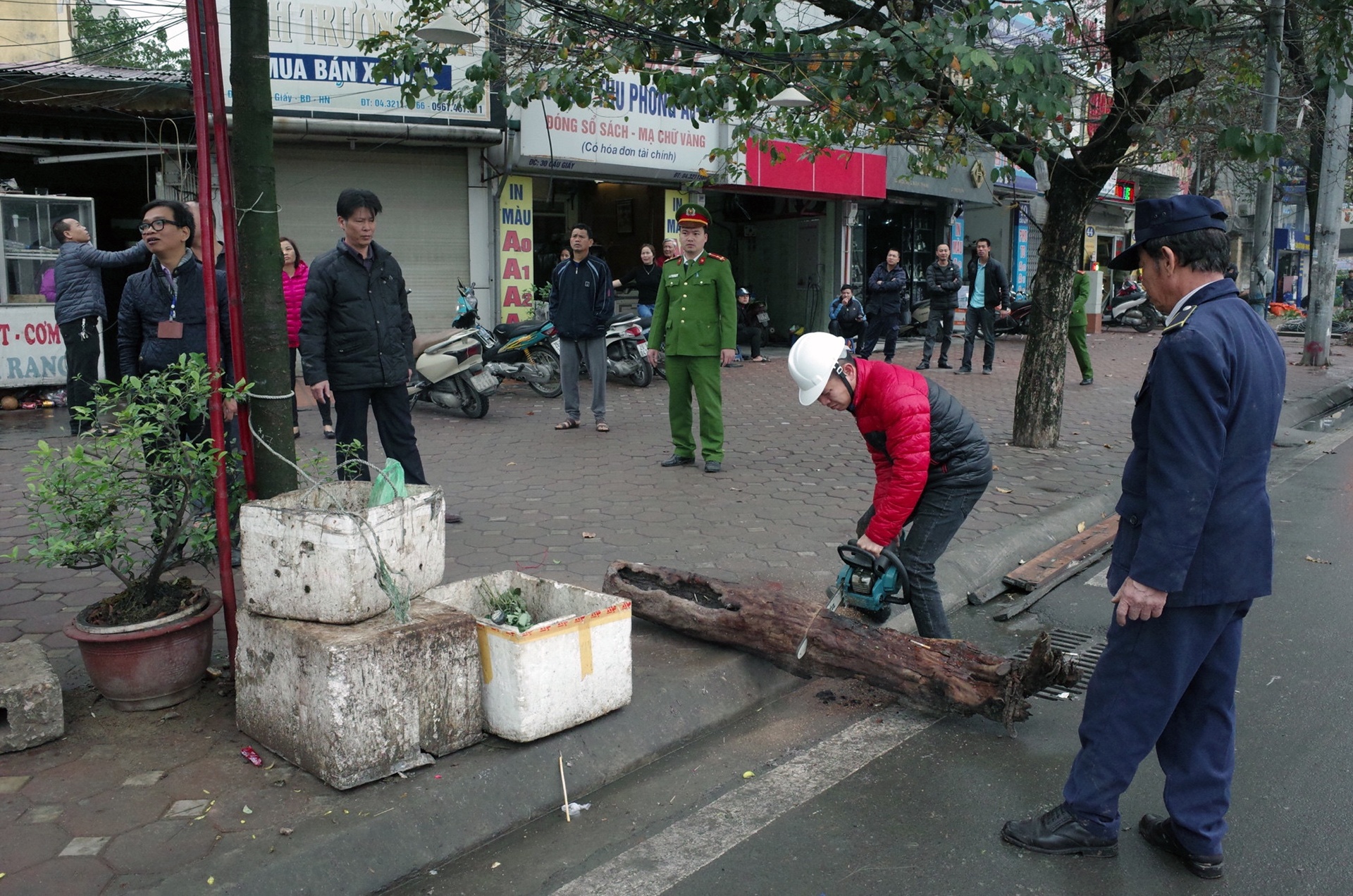 dep via he o Ha Noi anh 1