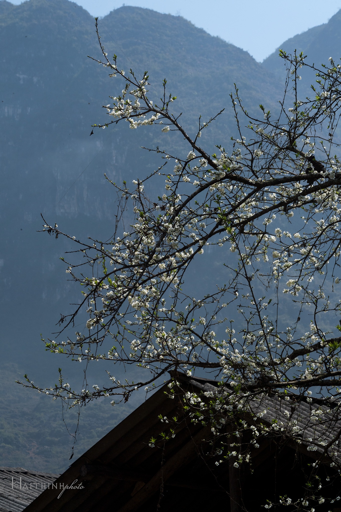 canh dep Ha Giang anh 7