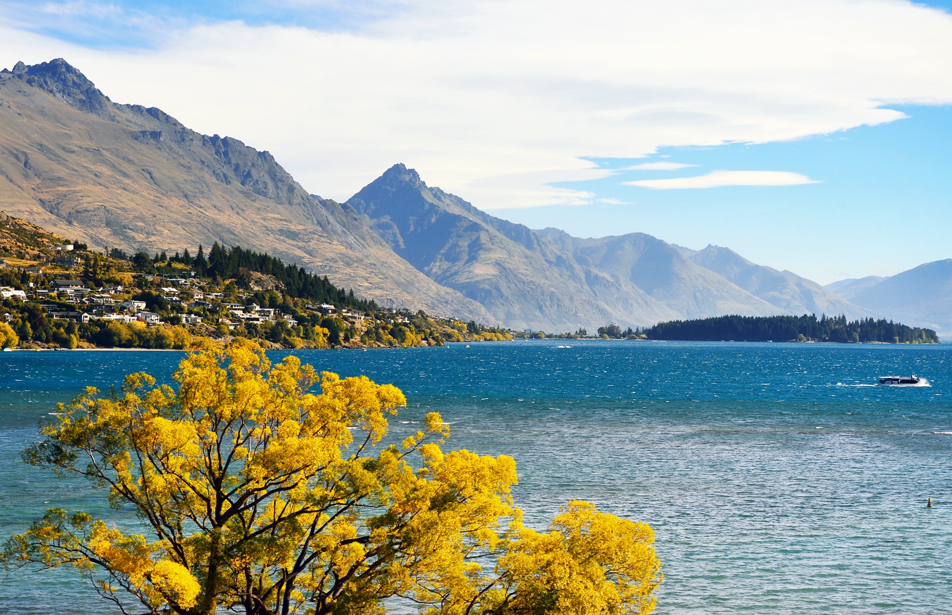 Canh sac me hoac long nguoi o New Zealand hinh anh