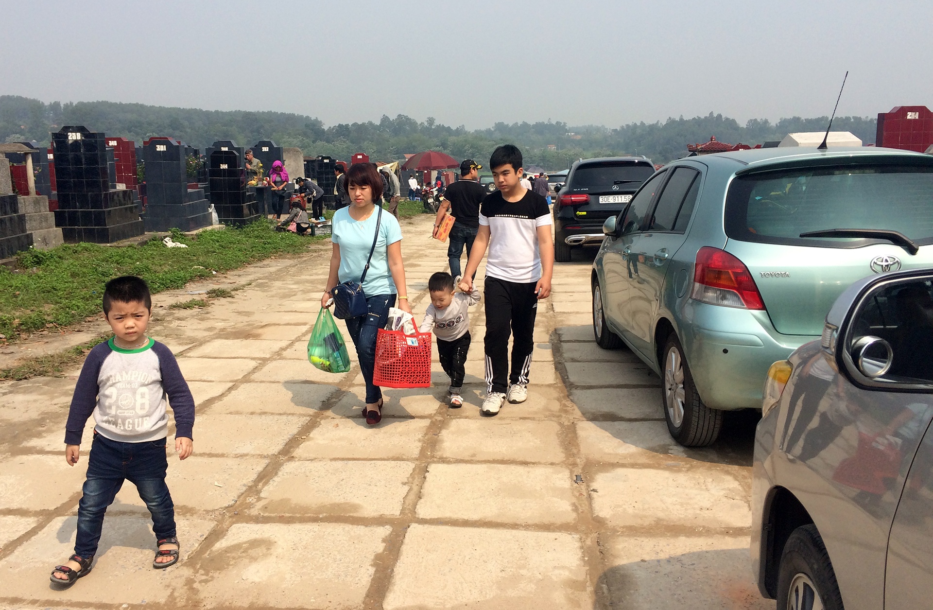 tao mo ngay thanh minh anh 16