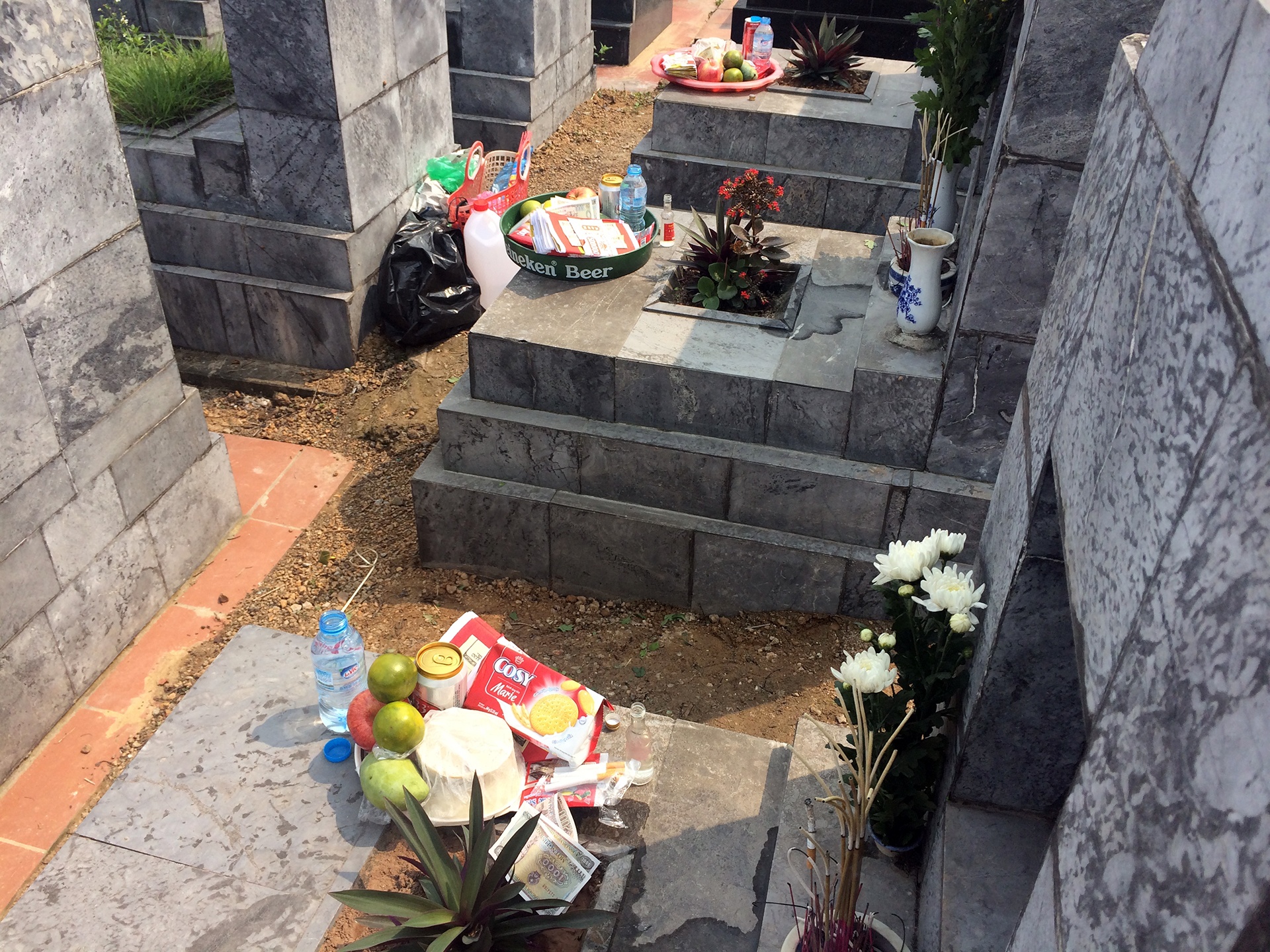 tao mo ngay thanh minh anh 18