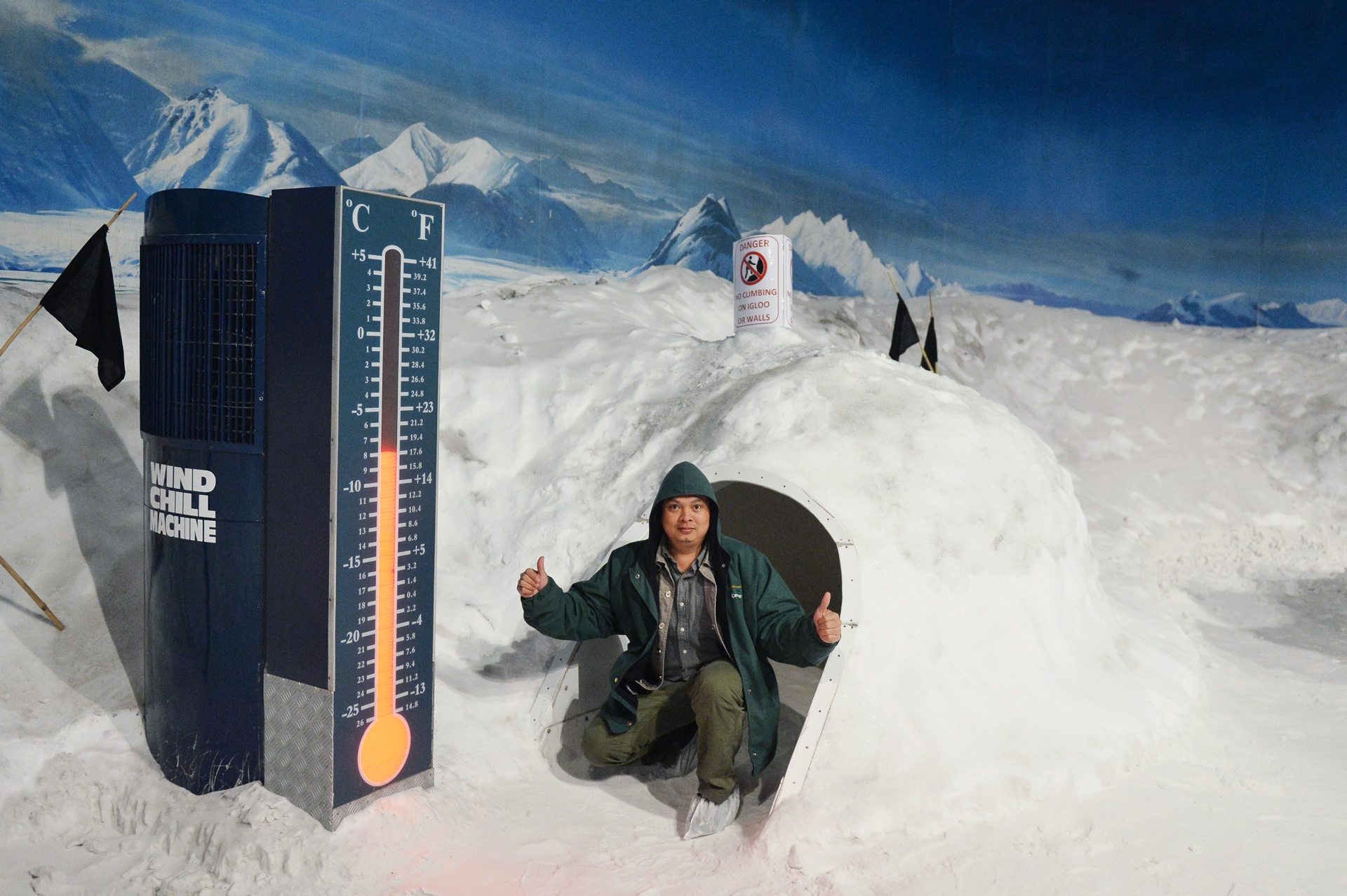 Trai nghiem du ngoan Nam Cuc nhu that o New Zealand hinh anh