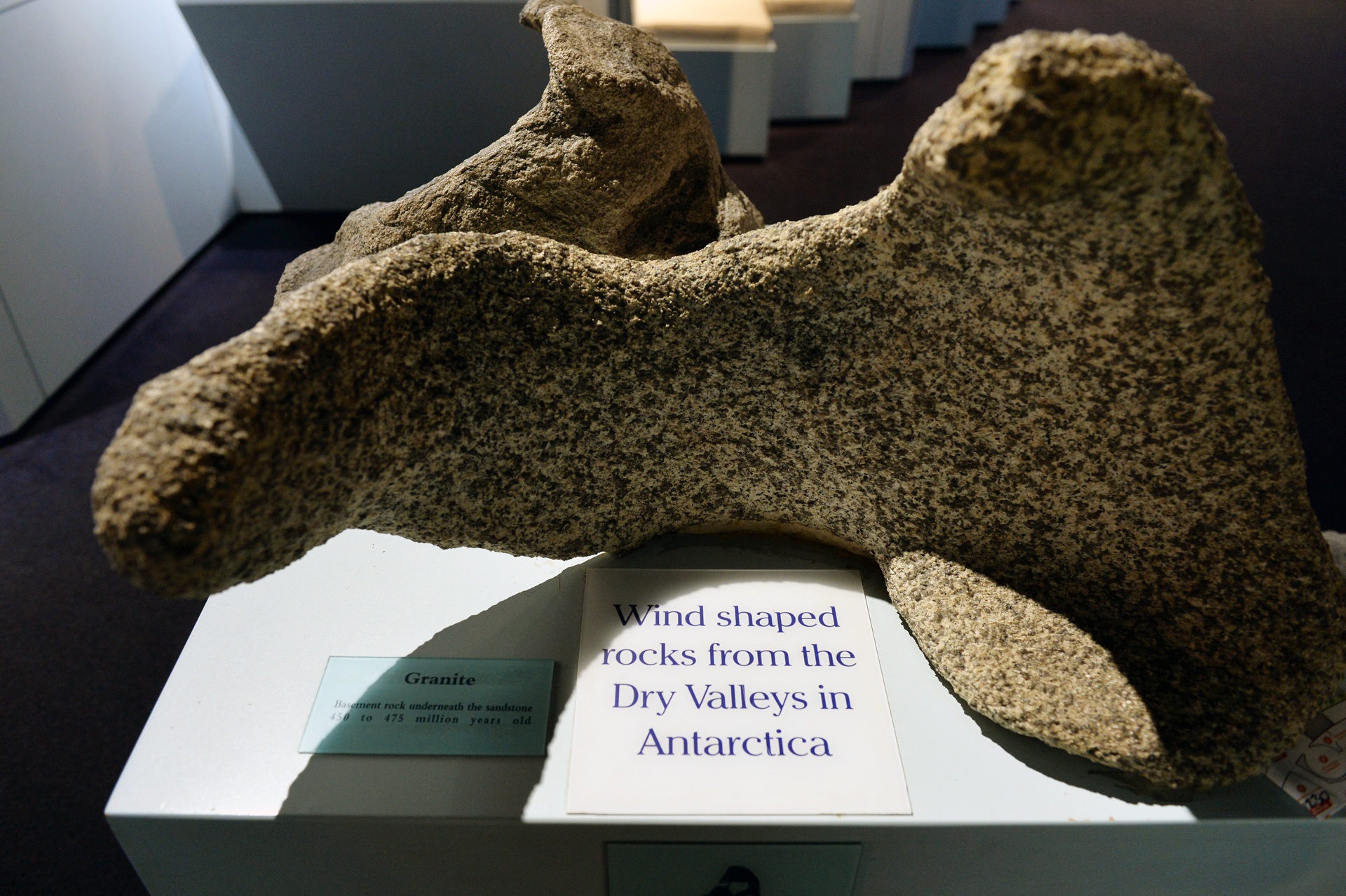 Bao tang Nam Cuc o New Zealand anh 3