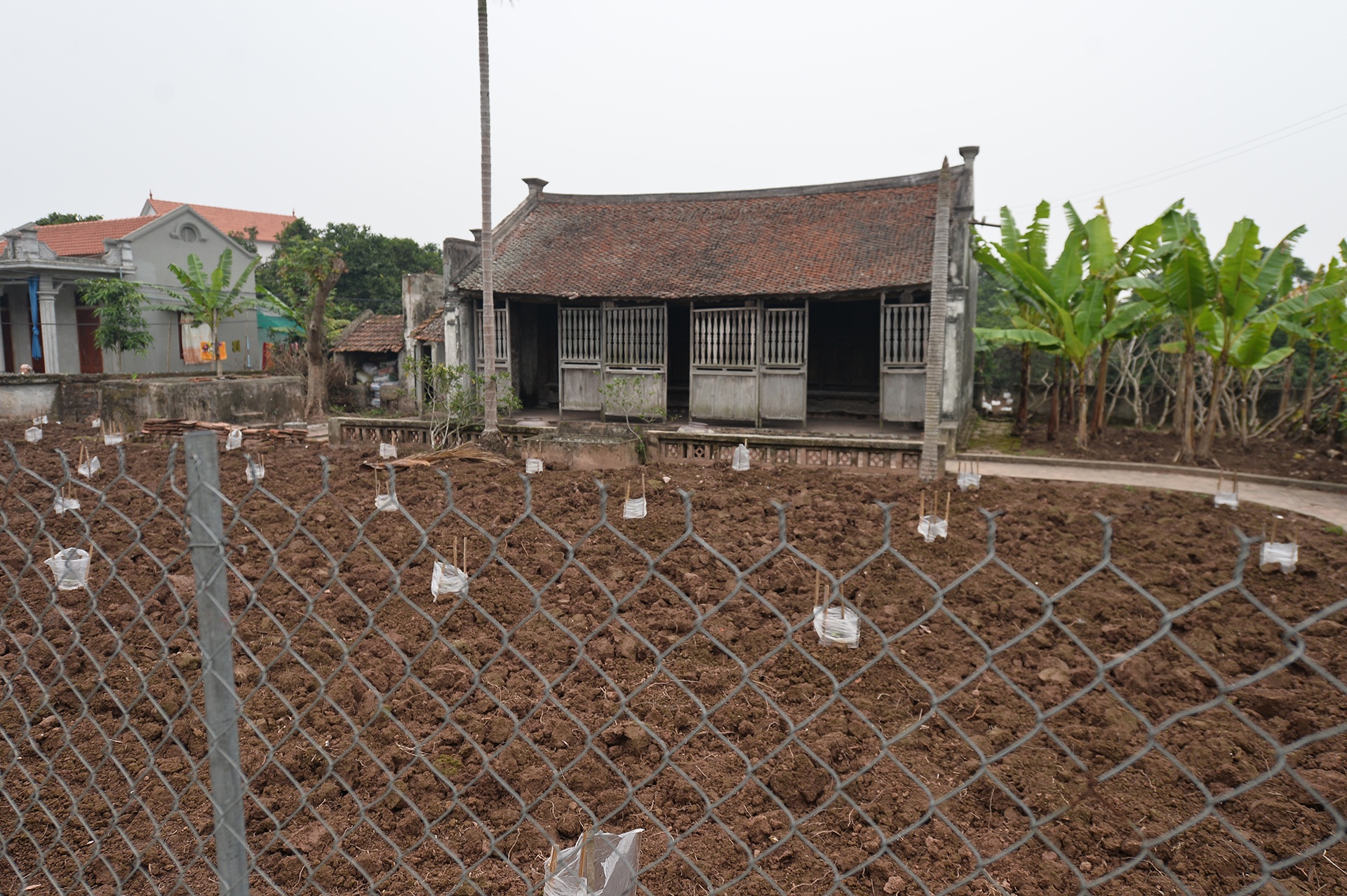 nha Ba Kien o Ha Nam anh 3