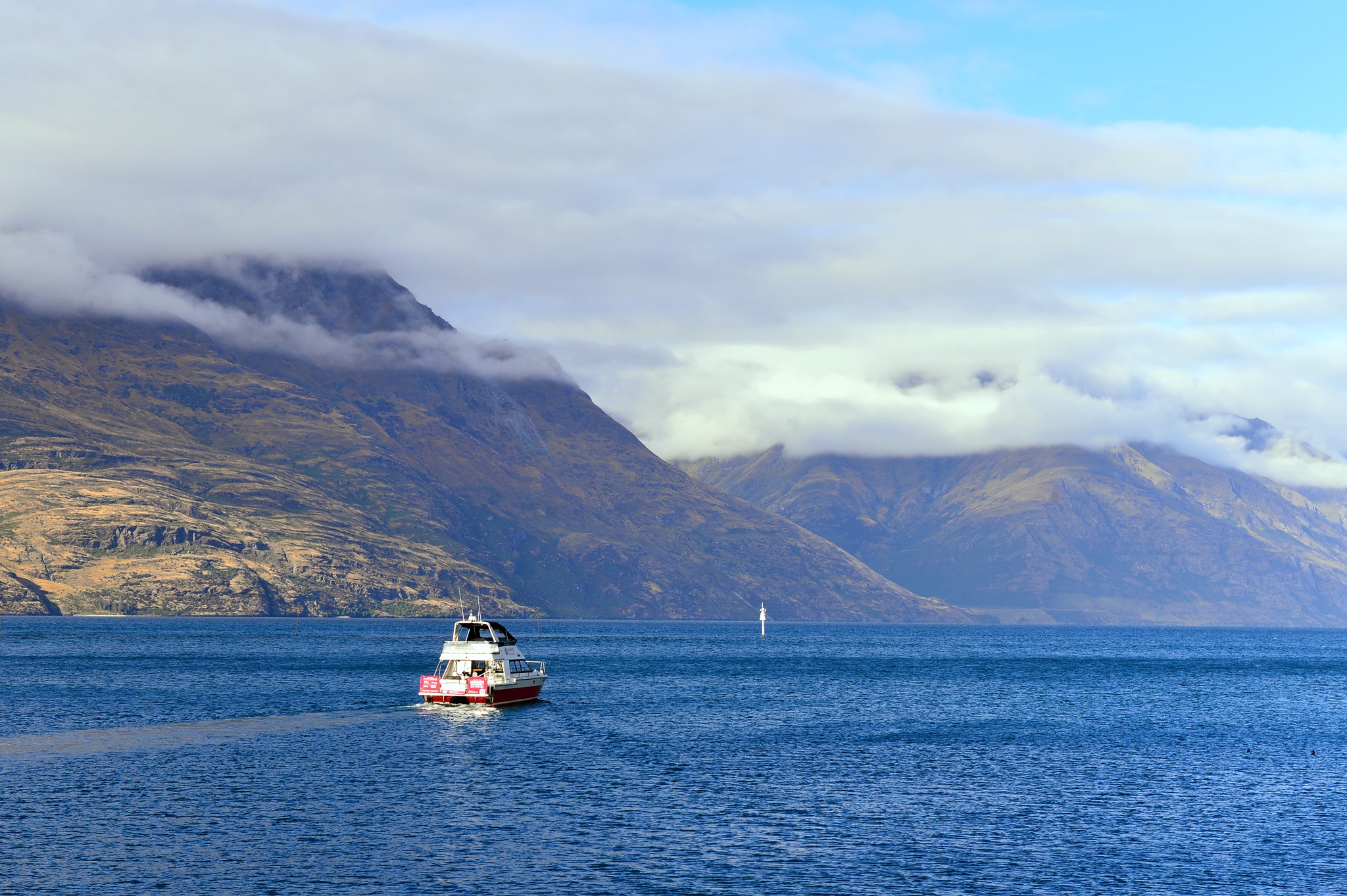 Du ngoan ho dai nhat New Zealand tren con tau tram tuoi hinh anh