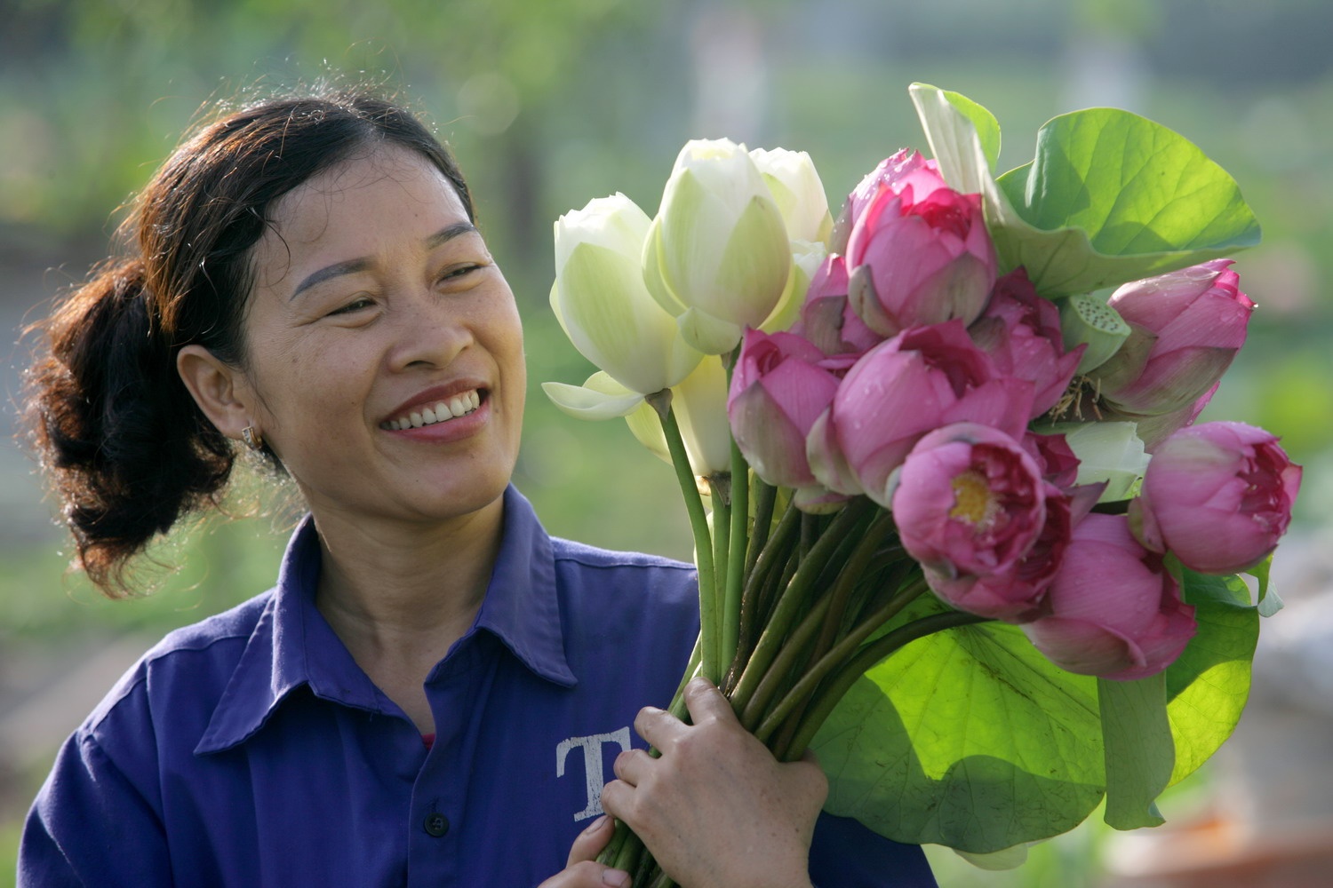 Dam sen Quan Am doc dao o Ha Noi hinh anh