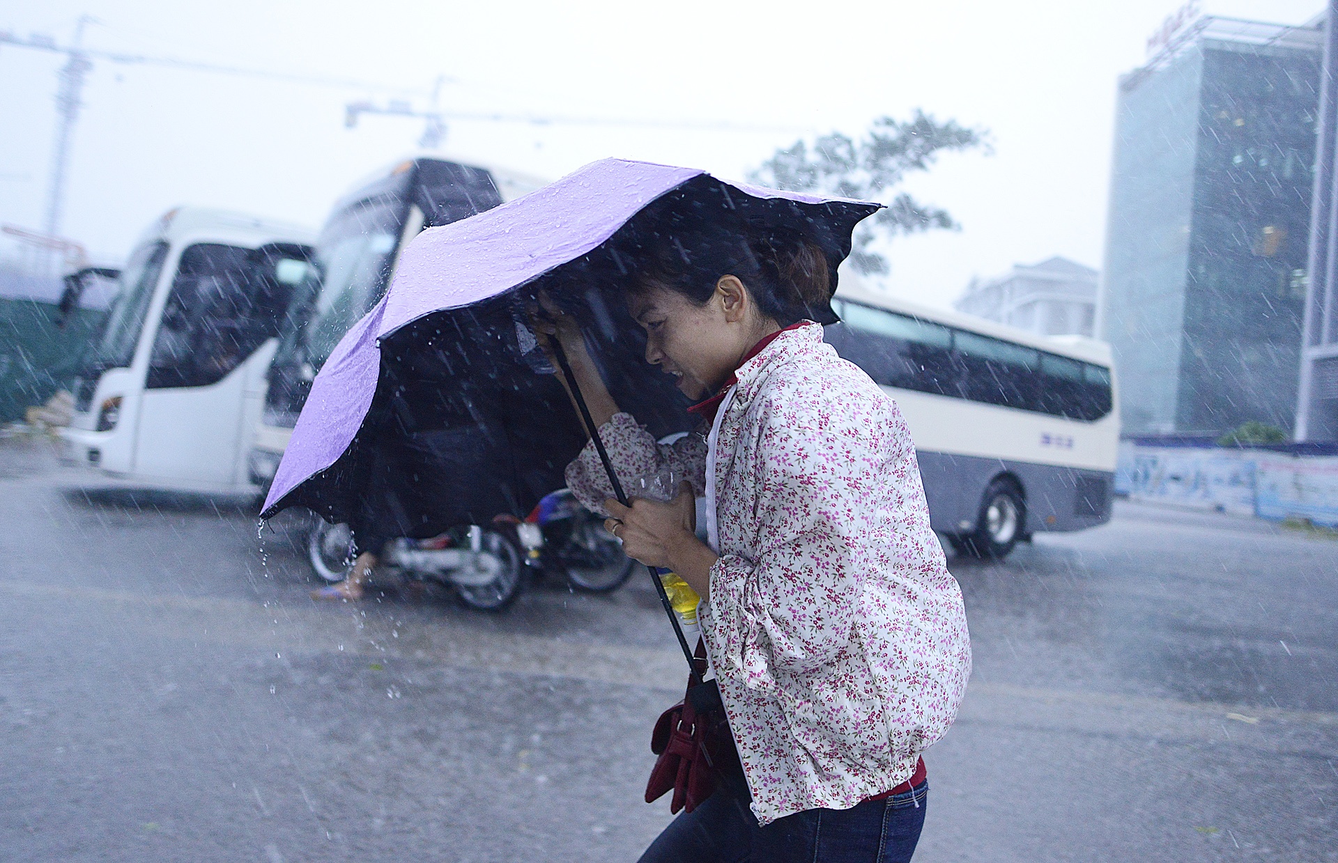 mua giai nhiet sau dot nang nong ky luc o Ha Noi anh 7