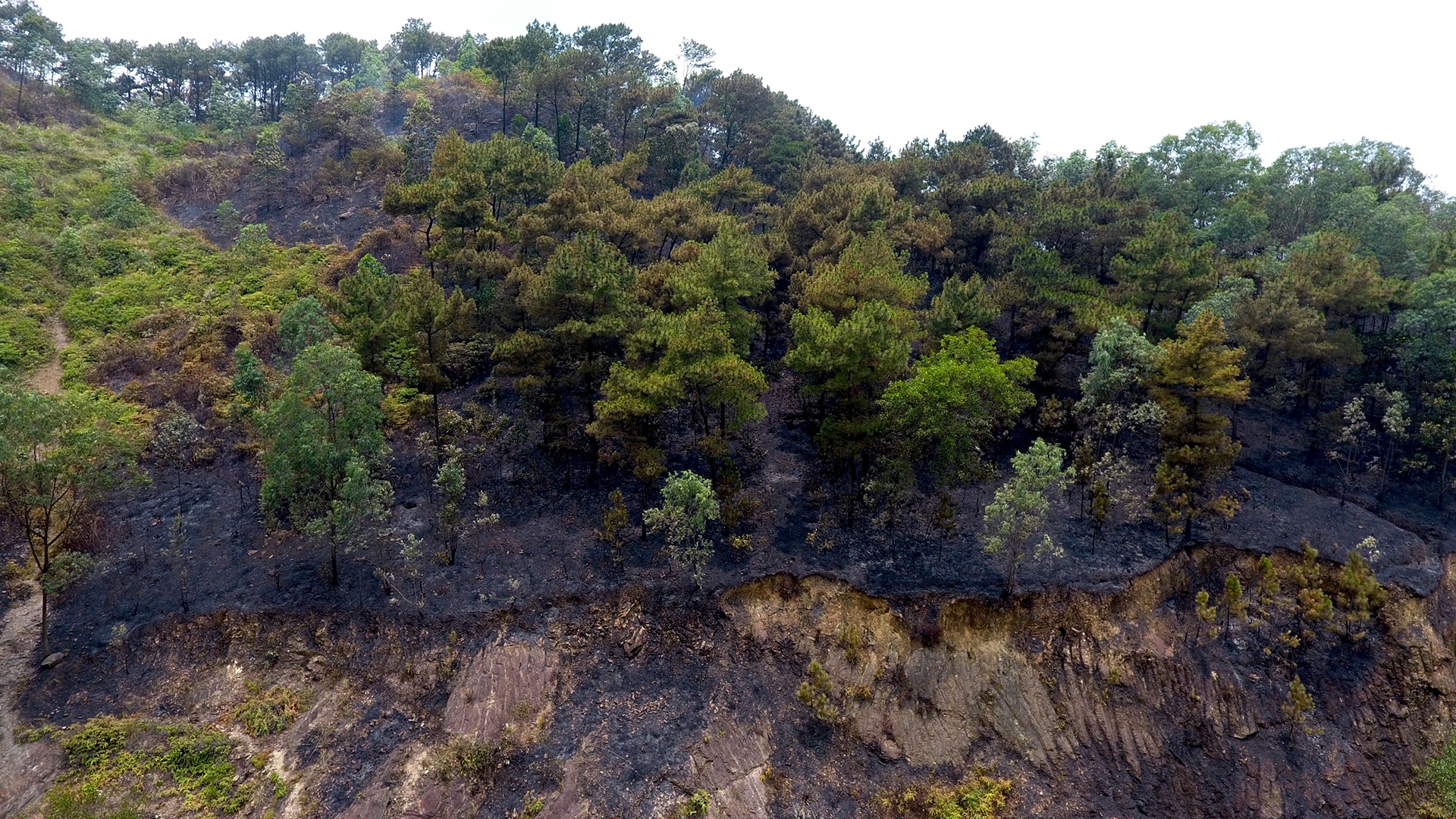 chay rung o Soc Son anh 5