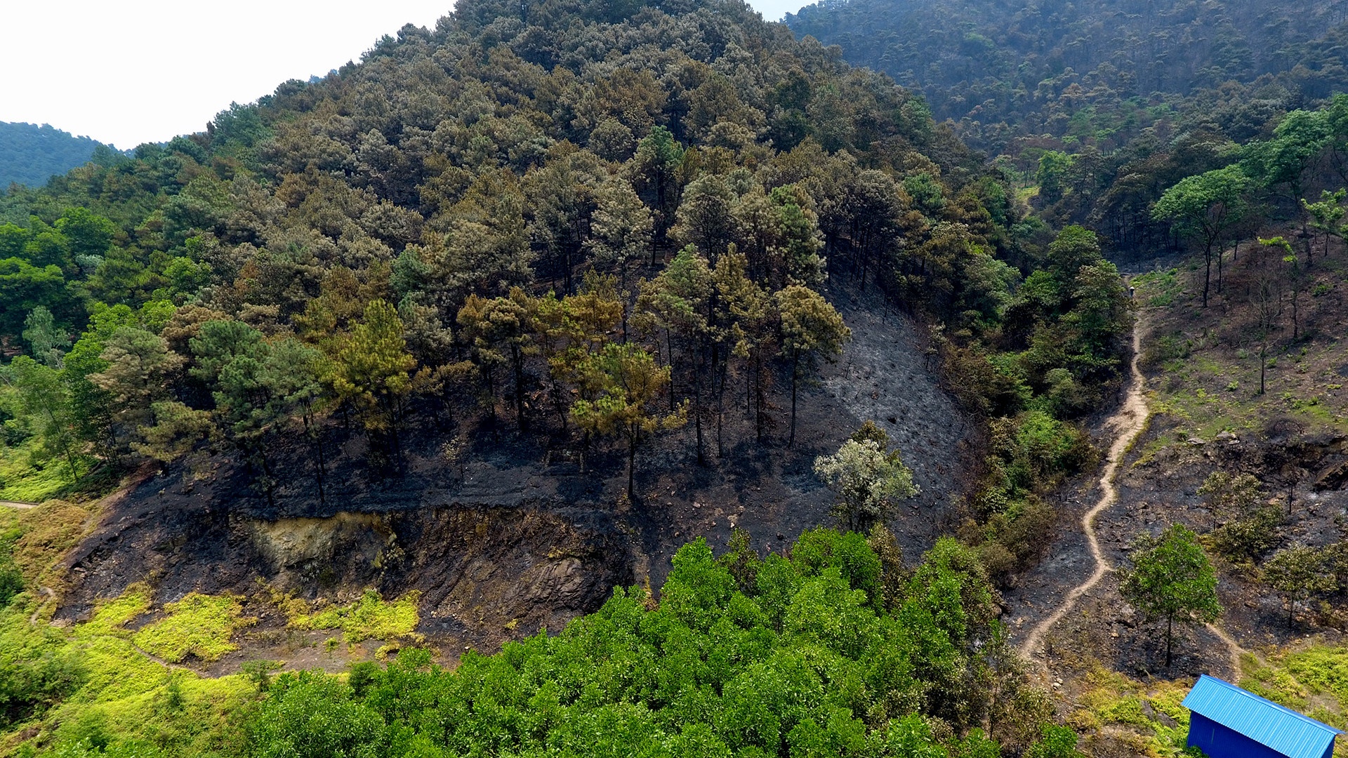 Hien truong vu chay rung lon nhat tu truoc toi nay o Ha Noi hinh anh